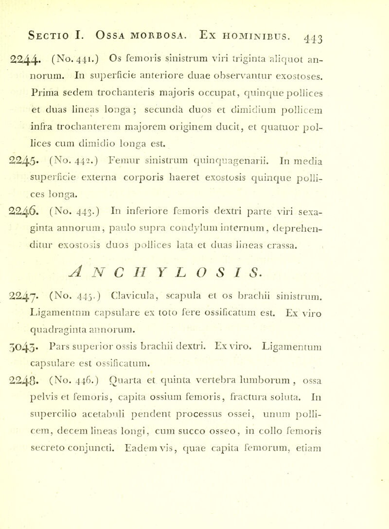 2244* (No. 441.) Os femoris sinistrum viri triginta aliquot an- norum. In superficie anteriore duae observantur exostoses. Prima sedem trochanteris majoris occupat, quinque pollices et duas lineas longa ; secundk duos et dimidium pollicem infra trochanterem majorem originem ducit, et quatuor pol- lices cum dimidio longa est. 2245* (No. 442.) Femur sinistrum quinquagenarii. In media superficie externa corporis haeret exostosis quinque polli- ces longa. 2246. (No. 443-) In inferiore femoris dextri parte viri sexa- ginta annorum, paulo supra condylum internum, deprehen- ditur exostosis duos pollices lata et duas lineas crassa. Anchylos i s. 2247* (No. 445.) Clavicula, scapula et os brachii sinistrum. Ligamentnm capsulare ex toto fere ossificatum est. Ex viro quadraginta annorum. 5043* Pars superior ossis brachii dextri. Ex viro. Ligamentum capsulare est ossificatum. 2248» (No. 446.) Quarta et quinta vertebra lumborum , ossa pelvis et femoris, capita ossium femoris, fractura soluta. I11 supercilio acetabuli pendent processus ossei, unum polli- cem, decem lineas longi, cum succo osseo, in collo femoris secreto conjuncti. Eadem vis, quae capita femorum, etiam