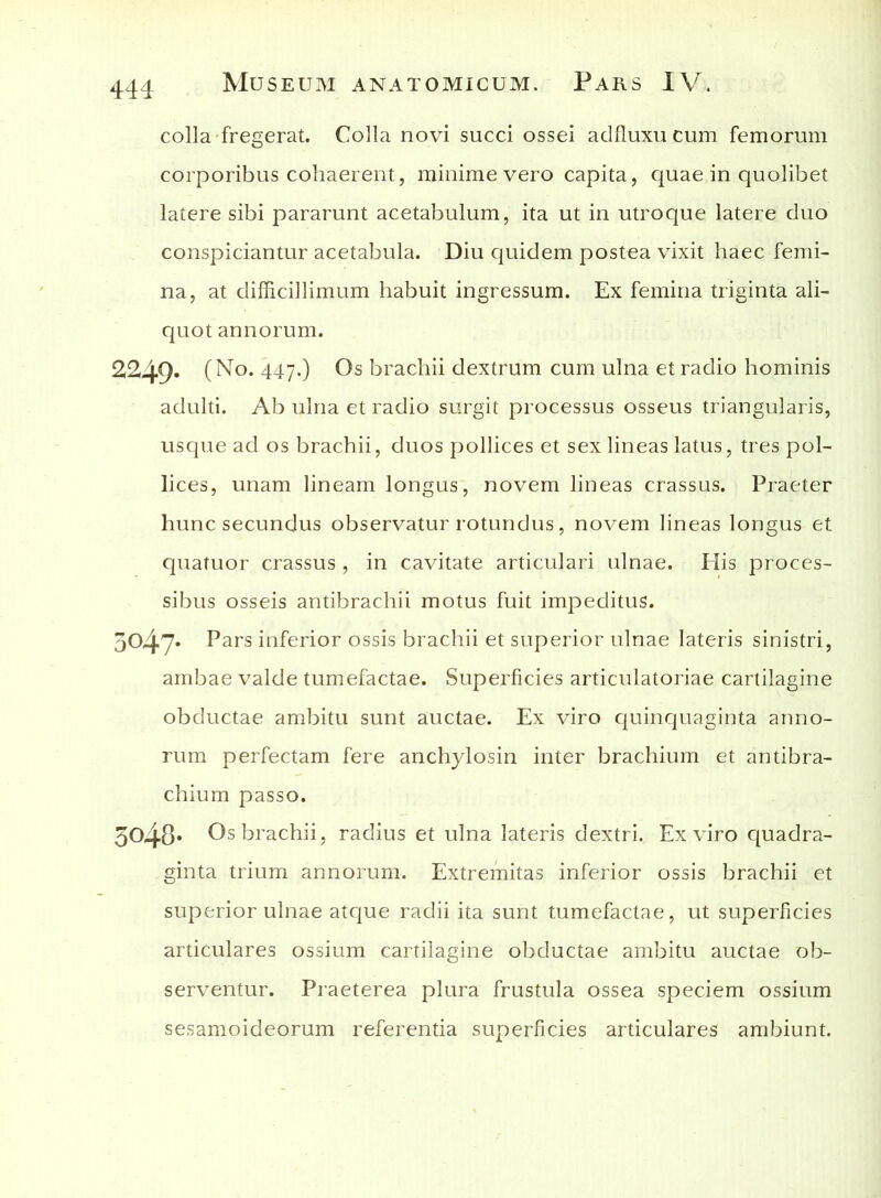 colla fregerat. Colla novi succi ossei adfluxucum femorum corporibus cohaerent, minime vero capita, quae in quolibet latere sibi pararunt acetabulum, ita ut in utroque latere duo conspiciantur acetabula. Diu quidem postea vixit haec femi- na, at difficillimum habuit ingressum. Ex femina triginta ali- quot annorum. 2249* (No. 447.) Os brachii dextrum cum ulna et radio hominis adulti. Ab ulna et radio surgit processus osseus triangularis, usque ad os brachii, duos pollices et sex lineas latus, tres pol- lices, unam lineam longus, novem lineas crassus. Praeter hunc secundus observatur rotundus, novem lineas longus et quatuor crassus , in cavitate articulari ulnae. His proces- sibus osseis antibrachii motus fuit impeditus. 3047» Pars inferior ossis brachii et superior ulnae lateris sinistri, ambae valde tumefactae. Superficies articulatoriae carlilagine obductae ambitu sunt auctae. Ex viro quinquaginta anno- rum perfectam fere anchylosin inter brachium et antibra- chium passo. 5048» Os brachii, radius et ulna lateris dextri. Ex viro quadra- ginta trium annorum. Extremitas inferior ossis brachii et superior ulnae atque radii ita sunt tumefactae, ut superficies articulares ossium cartilagine obductae ambitu auctae ob- serventur. Praeterea plura frustula ossea speciem ossium sesamoideorum referentia superficies articulares ambiunt.