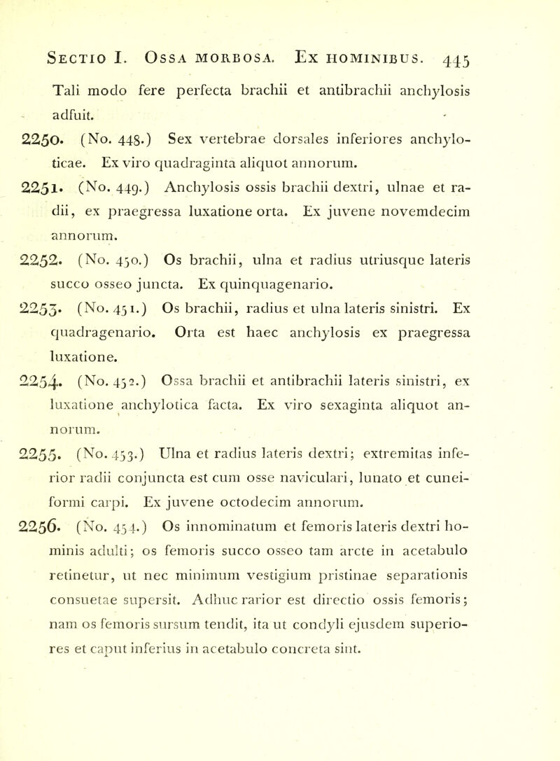 Tali modo fere perfecta brachii et antibrachii anchylosis adfuit. 2250. (No. 448.) Sex vertebrae dorsales inferiores anchylo- ticae. Ex viro quadraginta aliquot annorum. 225l* (No. 449.) Anchylosis ossis brachii dextri, ulnae et ra- dii, ex praegressa luxatione orta. Ex juvene novemdecim annorum. 2252« (No. 450.) Os brachii, ulna et radius utriusquc lateris succo osseo juncta. Ex quinquagenario. 2253* (No. 451.) Os brachii, radius et ulna lateris sinistri. Ex quadragenario. Orta est haec anchylosis ex praegressa luxatione. 2254* (No. 452.) Ossa brachii et antibrachii lateris sinistri, ex luxatione anchylotica facta. Ex viro sexaginta aliquot an- norum. 2255» (No. 453.) Ulna et radius lateris dextri; extremitas infe- rior radii conjuncta est cum osse naviculari, lunato et cunei- formi carpi. Ex juvene octodecim annorum. 2256» (No. 454.) Os innominatum et femoris lateris dextri ho- minis adulti; os femoris succo osseo tam arcte in acetabulo retinetur, ut nec minimum vestigium pristinae separationis consuetae supersit. Adhuc rarior est directio ossis femoris; nam os femoris sursum tendit, ita ut condyli ejusdem superio- res et caput inferius in acetabulo concreta sint.