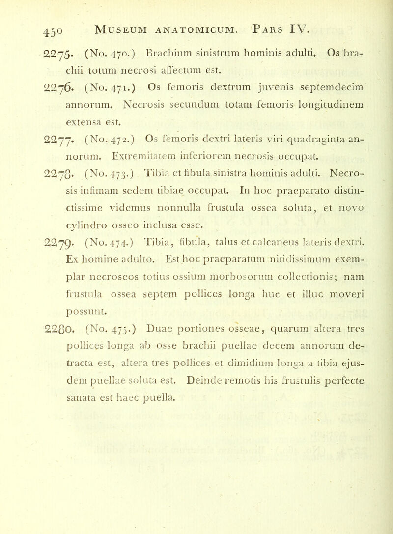 2275. (No. 470.) Brachium sinistrum hominis adulti» Os bra- chii totum necrosi affectum est. 2276» (No. 471.) Os femoris dextrum juvenis septemdecim annorum. Necrosis secundum totam femoris longitudinem extensa est. 2277. (No. 472.) Os femoris dextri lateris viri quadraginta an- norum. Extremitatem inferiorem necrosis occupat. 2278* (No. 473.) Tibia et fibula sinistra hominis adulti. Necro- sis infimam sedem tibiae occupat. In hoc praeparato distin- ctissime videmus nonnulla frustula ossea soluta, et novo cylindro osseo inclusa esse. 2279. (No. 474.) Tibia, fibula, talus et calcaneus lateris dextri. Ex homine adulto. Est hoc praeparatum nitidissimum exem- plar necroseos totius ossium morbosorum collectionis; nam frustula ossea septem pollices longa huc et illuc moveri possunt. 2280. (No. 475.) Duae portiones osseae, quarum altera tres pollices longa ab osse brachii puellae decem annorum de- tracta est, altera tres pollices et dimidium longa a tibia ejus- dem puellae soluta est. Deinde remotis his frustulis perfecte sanata est haec puella.