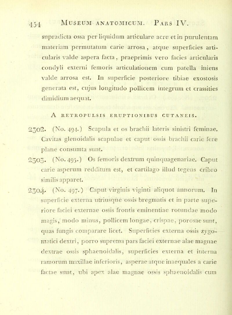 snpradicta ossa perliquidum articulare acre et in purulentam materiam permutatum carie arrosa , atque superficies arti- cularis valde aspera facta, praeprimis vero facies articularis condyli externi femoris articulationem cum patella iniens valde arrosa est. In superficie posteriore tibiae exostosis generata est, cujus longitudo pollicem integrum et crassities dimidium aequat. A RETROPULSIS ERUPTIONIBUS CUTANEIS. 2502. (No. 494.) Scapula et os brachii lateris sinistri feminae. Cavitas glenoidalis scapulae et caput ossis brachii carie fere plane consumta sunt. 2503. (No. 495.) Os femoris dextrum quinquagenariae. Caput carie asperum redditum est, et cartilago illud tegens cribro similis apparet. 2304* (No. 497.) Caput virginis viginti aliquot annorum. In superficie externa utriusque ossis bregmatis et in parte supe- riore faciei externae osSis frontis eminentiae rotundae modo magis, modo minus, pollicem longae, crispae, porosaesunt, quas fungis comparare licet. Superficies externa ossis zygo- matici dextri, porro suprema pars faciei externae alae magnae dextrae ossis sphaenoidalis, superficies externa et interna ramorum maxillae inferioris, asperae atque inaequales a carie factae sunt, ubi apex alae magnae ossis sphaenoidalis cum