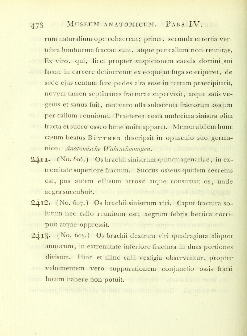 rum naturalium ope cohaerent; prima, secunda et tertia ver- tebra lumborum fractae sunt, atque per callum non reunitae. Ex viro, qui, licet propter suspicionem caedis domini sui factae in carcere detineretur ex eoqueut fuga se eriperet, de sede ejus centum fere pedes alta sese in terram praecipitarit, novem tamen septfmanas fracturae supervixit, atque satis ve- getus et sanus fuit, nec vero ulla subsecuta fractorum ossium per callum reunione. Praeterea costa undecima sinistra olim fracta et succo osseo bene unita apparet. Memorabilem hunc casum beatus Bdttner descripsit in opusculo suo germa- nico: Anatomische Wahmehmungen. 24n. (No. 606.) Os brachii sinistrum quinquagenariae, in ex- tremitate superiore fractum. Succus osseus quidem secretus est, pus autem effusum arrosit atque consumsit os, unde aegra succubuit. 24l2. (No. 607.) Os brachii sinistrum viri. Caput fractura so- lutum nec callo reunitum est; aegrum febris hectica corri- puit atque oppressit. 24l3* (N°. 608.) Os brachii dextrum viri quadraginta aliquot annorum, in extremitate inferiore fractura in duas portiones divisum. Hinc et illinc calli vestigia observantur, propter vehementem vero suppurationem conjunctio ossis fracti locum habere non potuit.