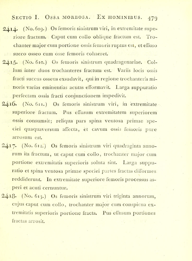 2414* (No. 6og.) Os femoris sinistrum viri, in extremitate supe- riore fractum. Caput cum collo oblique fractum est. Tro- chanter major cum portione ossis femoris ruptus est, et effuso succo osseo cum osse femoris cohaeret. 24l5* (No. 610.) Os femoris sinistrum quadragenariae. Col- lum inter duos trochanteres fractum est. Variis locis ossis fracti succus osseus exsudavit, qui in regione trochanteris mi- noris varias eminentias acutas efformavit. Larga suppuratio perfectam ossis fracti conjunctionem impedivit. 24l6. (No. 611.) Os femoris sinistrum viri, in extremitate superiore fractum. Pus effusum extremitatem superiorem ossis consumsit; reliqua pars spina ventosa primae spe- ciei quaquaversum affecta, et cavum ossis femoris pure arrosum est. 2417* (No. 612.) Os femoris sinistrum viri quadraginta anno- rum ita fractum, ut caput cum collo, trochanter major cum portione extremitatis superioris soluta sint. Larga suppu- ratio et spina ventosa primae speciei partes fractas difformes reddiderunt. In extremitate superiore femoris processus as- peri et acuti cernuntur. 24l8* (No. 613.) Os femoris sinistrum viri triginta annorum, cujus caput cum collo, trochanter major cum conspicua ex- tremitatis superioris portione fracta. Pus effusum portiones fractas arrosit.