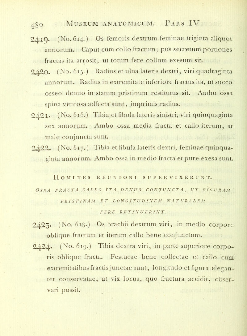 24l9' (No. 614.) Os femoris dextrum feminae triginta aliquot annorum. Caput cum collo fractum; pus secretum portiones fractas ita arrosit, ut totum fere collum exesum sit. 242.0. (No. 615.) Radius et ulna lateris dextri, viri quadraginta annorum. Radius in extremitate inferiore fractus ita, ut succo osseo denuo in statum pristinum restitutus sit. Ambo ossa spina vento,sa adfecta sunt, imprimis radius. 242.1» (No. 616.) Tibia et fibula lateris sinistri; viri quinquaginta sex annorum. Ambo ossa media fracta et callo iterum, at male conjuncta sunt. 2422. (No. 617.) Tibia et fibula lateris dextri, feminae quinqua- ginta annorum. Ambo ossa in medio fracta et pure exesa sunt. Homines reunioni supervixerunt. Ossa fracta callo ita denuo conjuncta, ut. figuram PRISTINAM ET L 0 N G1T U D IN E M N A T U R A L E M FERE RETINUERINT. 2423» (No. 6ig.) Os brachii dextrum viri, in medio corpore oblique fractum et iterum callo bene conjunctum. 2424» (N°. 61 g.) Tibia dextra viri, in parte superiore corpo- ris oblique fracta. Festucae bene collectae et callo cum extremitatibus fractis junctae sunt, longitudo et figura elegan- ter conservatae, ut vix locus, quo fractura accidit, obser- vari possit.