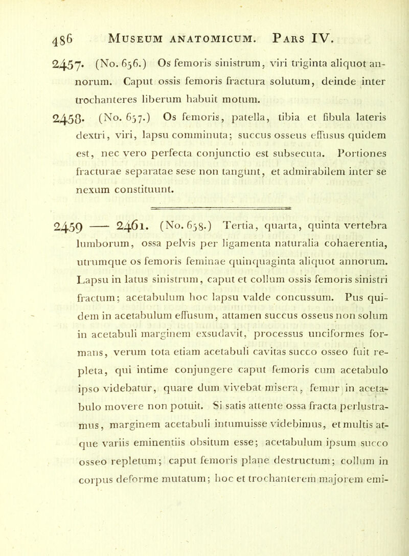 2457* (No. 656.) Os femoris sinistrum, viri triginta aliquot an- norum. Caput ossis femoris fractura solutum, deinde inter trochanteres liberum habuit motum. 2458* (No. 657.) Os femoris, patella, tibia et fibula lateris dextri, viri, lapsu comminuta; succus osseus effusus quidem est, nec vero perfecta conjunctio est subsecuta. Portiones fracturae separatae sese non tangunt, et admirabilem inter se nexum constituunt. 2459 2461. (No. 658.) Tertia, quarta, quinta vertebra lumborum, ossa pelvis per ligamenta naturalia cohaerentia, utrumque os femoris feminae quinquaginta aliquot annorum. Lapsu in latus sinistrum, caput et collum ossis femoris sinistri fractum; acetabulum hoc lapsu valde concussum. Pus qui- dem in acetabulum effusum, attamen succus osseus non solum in acetabuli marginem exsudavit, processus unciformes for- mans, verum tota etiam acetabuli cavitas succo osseo fuit re- pleta, qui intime conjungere caput femoris cum acetabulo ipso videbatur, quare dum vivebat misera, femur in aceta- bulo movere non potuit. Si satis attente ossa fracta perlustra- mus, marginem acetabuli intumuisse videbimus, et multis at- que variis eminentiis obsitum esse; acetabulum ipsum succo osseo repletum; caput femoris plane destructum; collum in corpus deforme mutatum; hoc et trochanterem majorem emi-