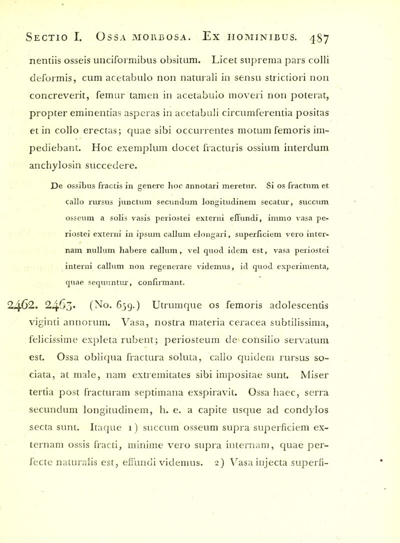 nentiis osseis unciformibus obsitum. Licet suprema pars colli deformis, cum acetabulo non naturali in sensu strictiori non concreverit, femur tamen in acetabulo moveri non poterat, propter eminentias asperas in acetabuli circumferentia positas et in collo erectas; quae sibi occurrentes motum femoris im- pediebant. Hoc exemplum docet fracturis ossium interdum anchylosin succedere. De ossibus fractis in genere hoc annotari meretur. Si os fractum et callo rursus junctum secundum longitudinem secatur, succum osseum a solis vasis periostei externi efFundi, immo vasa pe- riostei externi in ipsum callum elongari, superficiem vero inter- nam nullum habere callum, vel quod idem est, vasa periostei interni callum non regenerare videmus, id quod experimenta, quae sequuntur,, confirmant. 2462. 2463* (No. 659.) Utrumque os femoris adolescentis viginti annorum. Vasa, nostra materia ceracea subtilissima, felicissime expleta rubent; periosteum de1'consilio servatum est. Ossa obliqua fractura soluta, callo quidem rursus so- ciata, at male, nam extremitates sibi impositae sunt. Miser tertia post fracturam septimana exspiravit. Ossa haec, serra secundum longitudinem, h. e. a capite usque ad condylos secta sunt. Itaque 1) succum osseum supra superficiem ex- ternam ossis fracti, minime vero supra internam, quae per- fecte naturalis est, effundi videmus. 2) Vasa injecta superfi-