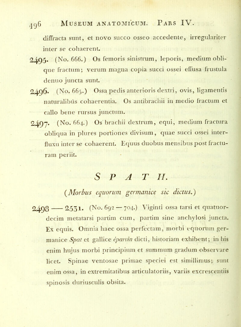 diffracta sunt, et novo succo osseo accedente, irregulariter inter se cohaerent. 2495» (No. 666.) Os femoris sinistrum, leporis, medium obli- que fractum; verum magna copia succi ossei effusa frustula denuo juncta sunt. 2496. (No. 665.) Ossa pedis anterioris dextri, ovis, ligamentis naturalibus cohaerentia. Os antibrachii in medio fractum et callo bene rursus junctum. 2497« (No. 664.) Os brachii dextrum, equi, medium fractura obliqua in plures portiones divisum, quae succi ossei inter- fluxu inter se cohaerent. Equus duobus mensibus post fractu- ram periit. S P A T H. (Morbus equorum germanice sic dictus.) 2531. (No. 692 — 704.) Viginti ossa tarsi et quatuor- decim metatarsi partim cum, partim sine anchylosi juncta. Ex equis. Omnia haec ossa perfectam, morbi equorum ger- manice Spat et gallice epamn dicti, historiam exhibent; in his enim hujus morbi principium et summum gradum observare licet. Spinae ventosae primae speciei est simillimus; sunt enim ossa, in extremitatibus articulatoriis, variis excrescendis spinosis duriusculis obsita.