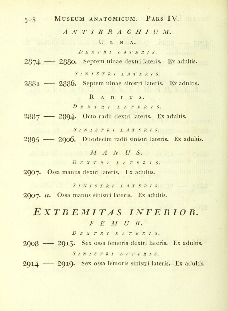 5°8 A N T I B R A CHIUM. Ulna. Dextri lateris. 2874 — 2880. Septem ulnae dextri lateris. Ex adultis. Sinistri lateris. 2881 2886. Septem ulnae sinistri lateris. Ex adultis. Radius. Dextri lateris. 2887 2894* Octo radii dextri lateris. Ex adultis. Sinistri lateris. 2895 2906. Duodecim radii sinistri lateris. Ex adultis. MANUS. Dextri lateris. 2907. Ossa manus dextri lateris. Ex adultis. Sinistri lateris. 2907. CL. Ossa manus sinistri lateris. Ex adultis. Extremitas inferior. FEMUR. Dextri lateris. 2908 2913» Sex ossa femoris dextri lateris. Ex adultis. Sinistri lateris. 2914 — 2919. Sex ossa femoris sinistri lateris. Ex adultis.