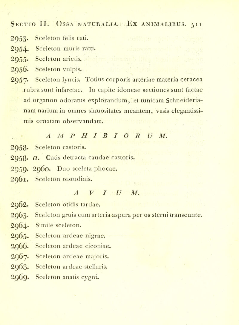 2953* Sceleton felis cati. 2954* Sceleton muris ratti. 2955* Sceleton arietis. 2936« Sceleton vulpis. 2957* Sceleton lyncis. Totius corporis arteriae materia ceracea rubra sunt infarctae. In capite idoneae sectiones sunt factae ad organon odoratus explorandum, et tunicam Schneideria- nam narium in omnes sinuositates meantem, vasis elegantissi- mis ornatam observandam. AMPHIBIOR U M. 2958* Sceleton castoris. 2958« Ct. Cutis detracta caudae castoris. 2959. 2960. Duo sceleta phocae. 2961. Sceleton testudinis. A V I U M. 2962. Sceleton otidis tardae. 2963. Sceleton gruis cum arteria aspera per os sterni transeunte. 2964* Simile sceleton. 2965» Sceleton ardeae nigrae. 2966. Sceleton ardeae ciconiae. 2967. Sceleton ardeae majoris. 2968* Sceleton ardeae stellaris. 2969* Sceleton anatis cygni.