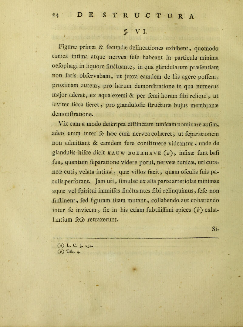 ^ ' 5- VL Figura primce & fecunda: delineationes exhibent, quomodo tunica intima atque nervea fefe habeant in particula minima oefophagi in liquore fluctuante, in qua glandularum praefentiam non fatis obfervabam, ut juxta eamdem de his agere polfem, proximam autem, pro harum demonflratione in qua numerus major aderat, ex aqua exemi & per femi horam fibi reliqui, ut leviter flcca fieret, pro glandulofae Hru6turae hujus membranee demonflratione. Vix eam a modo deferipta diflinctam tunicam nominare aufim, adeo enim inter fe htec cum nervea cohasret, ut feparationem non admittant & eamdem fere conflituere videantur, unde de glandulis hifce dicit kau_w boerhave (^), infixas funt bafi fua, quantum feparatione videre potui, nerve® tunic®, uticuta- ne® cuti, velata intima, qu® villos facit, quam ofculis fuis pa- tulis perforant. Jam uti, fimulac ex alia parte arteriolas minimas aqu® vel fpiritui immifias fluctuantes fibi relinquimus, fefe non fuflinent, fed Bguram fuam mutant, collabendo aut coh®rendo inter fe invicem, fle in his etiam fubtililTimi apices (Z?) exha- l.mtium fefe retraxerunt. Si- («) L. C. §. 254. Tab. 4.