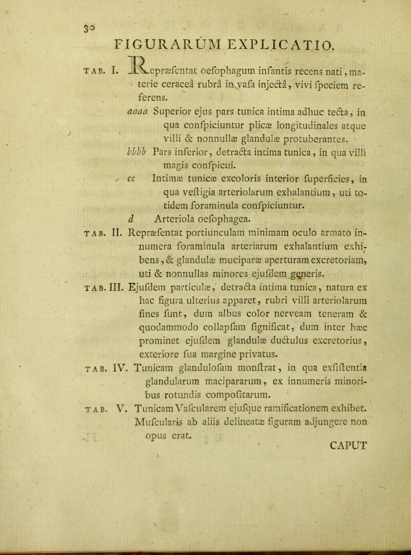 FIGURAPvUM EXPLICATIO. 3^ T AB. I. JLVcprsefentac oefophagum infantis recens nati,ma- terie ceracea rubra in^vafa injecila, vivi fpeciem re- ferens. aaaa Superior ejus pars tunica intima adhuc tedla, in qua confpiciuntur plicoe longitudinales atque villi & nonnullas glandulcs protuberantes. bhbb Pars inferior, detracla intima tunica, in qua villi magis confpicLii. ✓ cc Intimas tunicas excoloris interior fiiperlicies, in qua veftigia arteriolarum exhalantium, uti to- tidem foraminula confpiciuntur. d Arteriola oefophagea. TAB. II. Reprasfentat portiunculam minimam oculo armato in- numera foraminula arteriarum exhalantium exhi- / bens, & glandulas muciparoe aperturam excretoriam, uti & nonnullas minores ejufdem gqneris. TAB. III. Ejufdem particulce, detradla intima tunica, natura ex hac figura ulterius apparet, rubri villi arteriolarum fines funt, dum albus color nerveam teneram & quodammodo collapfam fignificat, dum inter hasc prominet ejufdem glandulte dudiulus excretorius, exteriore fua margine privatus. TAB. IV. Tunicam glandulofam monflrat, in qua exfiftentia glandularum macipararum, ex innumeris minori- bus rotimdis compofitamm. TAB. V. Tunicam Vafcularem ejufque raraificationem exhibet. Mufcularis ab aliis delineatce figuram adjungere non opus erat. CAPUT