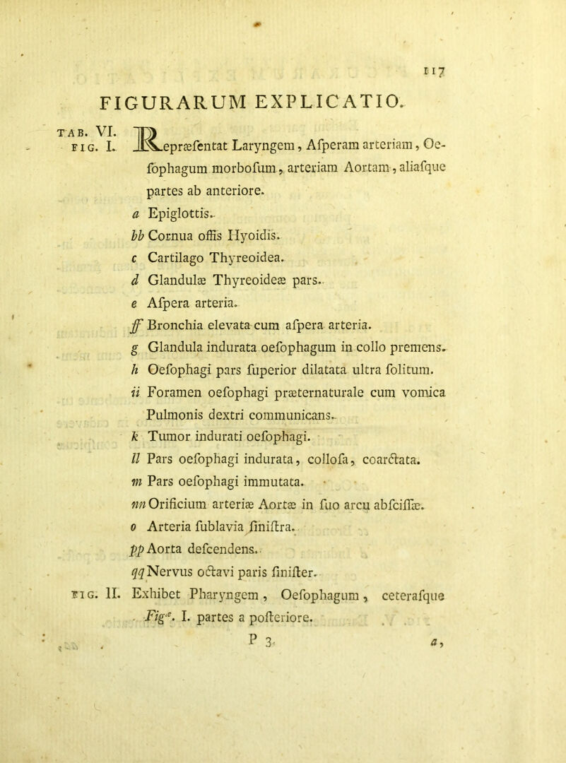 FIGURARUM EXPLICATIO. ri7 TAB. VI. FIG. I. eprsefentat Laryngem, Afperam arteriam, Oc- fophagum morbofum , arteriam Aortam, aliafquc partes ab anteriore. a Epiglottis.. hh Cornua offis Hyoidis. c Cartilago Thyreoidea. d Glandulae Thyreoidea pars.. e Afpera arteria. Bronchia elevata cum afpera arteria. g Glandula indurata oefophagum in collo premens. h Oefophagi pars fuperior dilatata ultra folitum. ii Foramen oefophagi praeternaturale cum vomica Pulmonis dextri communicans.. k Tumor indurati oefophagi. ll Pars oefophagi indurata, collofa, coardata. m Pars oefophagi immutata. nn Orificium arteriae Aortae in fuo arcu abfciffae. 0 Arteria fublavia^finifira.. pp Aorta defcendena.. Nervus oflavi paris finifter. FIG. II. Exhibet Pharyngem, Oefophagum, ceterafque . I. partes a pofteriore. P 3^ a.