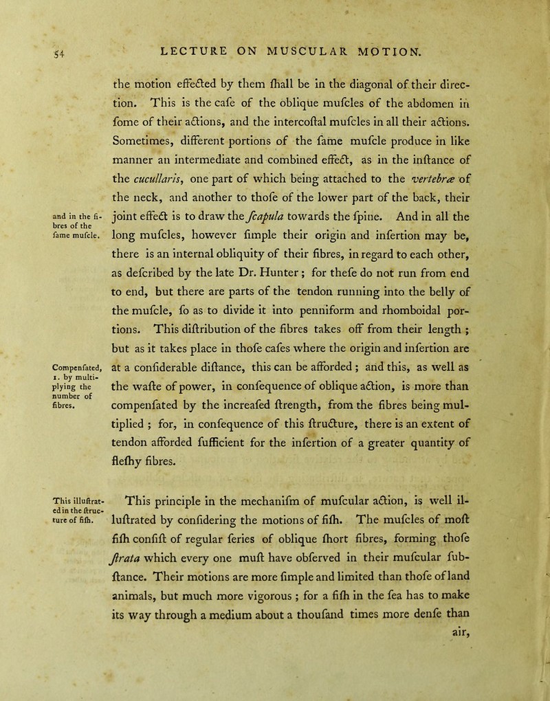 and in the fi- bres of the fame mufcle. Compenfated, I. by multi- plying the number of fibres. the motion efFeded by them fhall be in the diagonal oFtheir direc- tion. This is the cafe of the oblique mufcles of the abdomen in fome of their a(J!lions, and the intercoftal mufcles in all their a£tions. Sometimes, different portions of the fame mufcle produce in like manner an intermediate and combined effe£t, as in the inftance of the cucullarls, one part of which being attached to the vertebra of the neck, and another to thofe of the lower part of the back, their joint effedt is to draw the fcapula towards the fpine. And in all the long mufcles, however fimple their origin and infertion may be, there is an internal obliquity of their fibres, in regard to each other, as defcribed by the late Dr. Hunter ; for thefe do not run from end to end, but there are parts of the tendon running into the belly of the mufcle, fo as to divide it into penniform and rhomboidal por- tions. This diftribution of the fibres takes off from their length ; but as it takes place in thofe cafes where the origin and infertion are at a confiderable diflance, this can be afforded ; arid this, as well as the wafte of power, in confequence of oblique adlion, is more than compenfated by the increafed ftrength, from the fibres being mul- tiplied ; for, in confequence of this ftrudlure, there is an extent of tendon afforded fufficient for the infertion of a greater quantity of flefhy fibres. This iiiuftrat- This principle in the mechanifm of mufcular adtion, is well il- edin the ftruc- tureof fifti. luftrated by confidering the motions of fifh. The mufcles of mofl fifh confifl of regular feries of oblique fhort fibres, forming thofe Jirata which every one muff have obferved in their mufcular fub- flance. Their motions are more fimple and limited than thofe of land animals, but much more vigorous ; for a fifh in the fea has to make its way through a medium about a thoufaiid times more denfe than air.