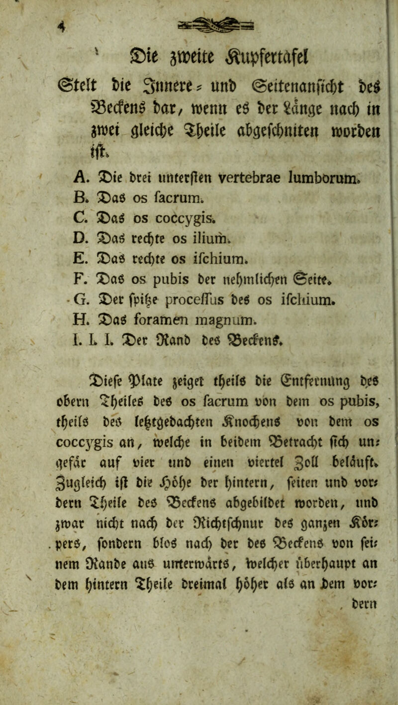 * ©ie zweite Äupfertafel ©telt bic Snnere* unfc ©eitenanftcht be$ 23ecfen$ bar, wenn e$ ber 2ange nach in jwet gleiche $hetle abgefchniten worben tft A. ©ie beet unterflen vertebrae lumborum» B. ©a$ os facrum. C. ©a$ os coccygis. D. ©aä rechte os ilium. E. ©aä red)te os ifchium. F. ©a$ os pubis ber nef)mlid)en ©eite* • G. ©er fpi§e proceflus be$ os ifchium. H. ©a$ foramen magnum. I. L I. ©er Kanb M ©ecftnfc. ©iefe <piate geiget t^eilö bie Entfernung be6 obern <heile* &e$ os Tacrum oon bem os pubis, tf}ei($ betf le|tgebad)ten Änochenä vwn bem os coccygis an, welche in beibem betracht ftd> un; gefdr auf oier unb einen oiertel 3°H belauft» 3ugletch ifi bie fjofye ber hintern, feiten unb t?or; bern ^f;eiic be$ ’Secfenö abgebilbet worben, unb $wat nid)t nach ber Üftchtfchnur be$ ganjen £6r; . per$, fonbern bleä nadj ber beo ®ecfenö oon fei; tiem SKanbe aus unterwärts, Welcher überhaupt an s bem hintern dreimal h&bec an *ov , bern v— ■ llraM
