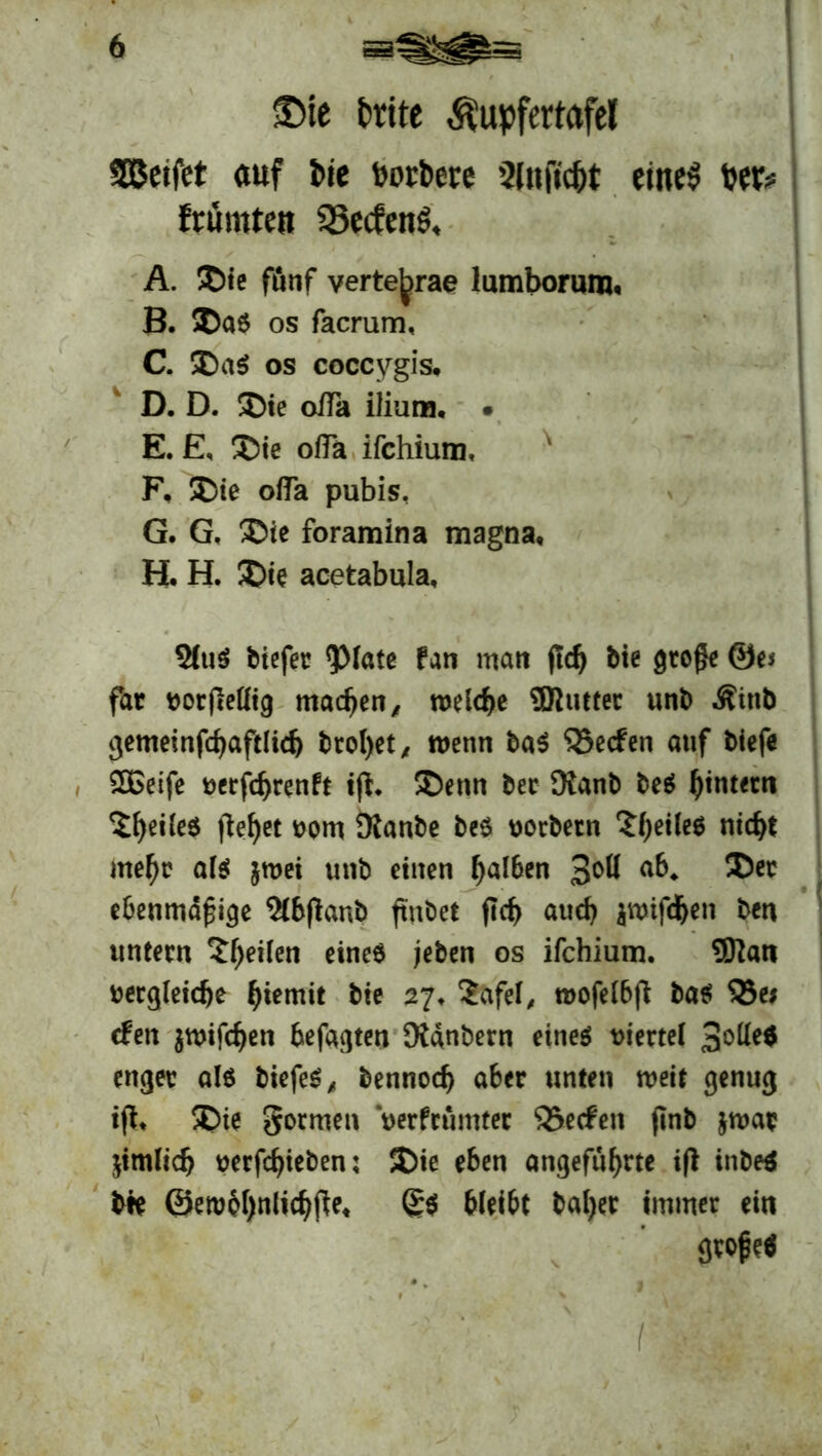 £>ie brite Äupfertofel Steifet auf bie borbete 2(nftc&t eines t>e&= frümten SSecfenS, A. £>ie fünf verte^rae lumborum. B. $aS os facrum, C. -Das os coccygis, D. D. ®ie offa ilium. • E. E, $>ie offa ifchium, F. £>ie ofla pubis, G. G, ®ie foramina magna, H. H. 5Die acetabula, SluS biefet* <piate fan matt jtd) bte große @e* far vorfMig machen, roeldje ®utter unt Äint gemeinfcbaftlicf) brol>et x wenn taS SSecfen auf tiefe SBeife verfdjrenft iß. SDenn bec Kant teS ^intern feiles liefet vom Kante teS vortern $f)eile$ nid)t mehr als jtvei unt einen galten 3°H ®cc ebenmäßige ^Cbflanb ftntet fiel) auch awtfcfcen tcn untern feilen eine$ jeten os ifchium. 9ftan vergleiche ^iemit tte 27. 2afel, tvofelbß tas 33e* cfett jtvifdjen befaßten Kantern eines viertel 3°^ enger als tiefes, tennocf) aber unten weit genug ift, SDie gormen verfcumter 93ecfen ftnt jtvar jimiidj verfehlten: 5Die eben angeführte iß inteS tre ©etv6l)nlichße, (£$ bleibt halber immer ein große« l