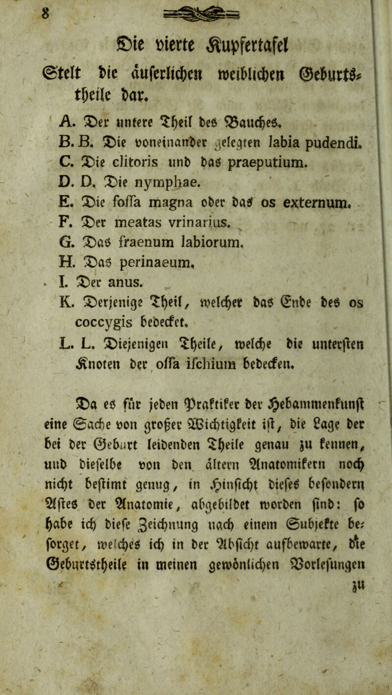 ©ie werte ß'upfettafel ©telt t>ic duferltcOeit roetbltcfjw ©eburt^ tljeile bar. A. Der untere ?^eil beS 33audje$* B. B. Die voneinander ..eierten labia pudendi. C. Die clitoris und bas praeputium. D. D. Die nymphae. E. Die foffa magna ober baS os externum» F. Der meatas vrinarius. G. Das fraenum labiorum, H. Das perinaeum, I. Der anus. K. Derjenige *Df>ei(, welcher bas Snbe be$ os coccygis bebecfctv L. L. Diejenigen Steile, n>eld>e die unteren knoten ber offa ifchium bedecfem Da es für jeben <Praftifer ber ^ebanimenfunft eine ©adje von großer $£ichtigfeit ift, bie £age ber bei ber ©eb^rt (eibenben Steife genau $u fennen, uub biefelbe von ben altern $(natomifern noch nic^t befiimt genug, in ^infic^t biefeS befenbern Elftes ber Anatomie, abgebtlbet tvorben finb: fo habe ich biefe S^nung nach einem ©ubjefte be; forget, tve(ct)es ich in ber ^Ibjtdjt aufbetvarte, b*te ©ebtmstfjeile in meinen gewonnenen SSorlefungen i»