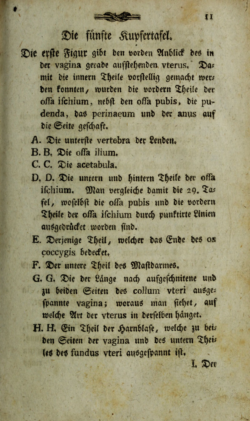 £>ie fünfte ^upfertafel üDte tXiJe gt&t ben uorben 9(n&Ii<f be$ in Der vagina getabe auflWjenben vterus,' ü£)a* mit bie innern Steile t>orfleriig gemacht wer* ben formten/ mürben bie toorbern 2l)etfe bet offa ifchium, nebft ben offa pubis, bte pu^ denda, ba$ perinaeum unb ber anus «uf bie ©eite gefcfjaft* A. S>ie untere vertebra ber Senbet?« B. B, ®ie offa ilium, C. C. 2>te acetabula. D. D. ®ie untern unb ^intern 5fyet(e bet offa ifchium. 9ftan oergleic&e bamit bie 29* $a* fe(, wofef&fi bie offa pubis unb bte ttorbertt Steife ber offa ifchium burd) punftirte Cinieti ctuSgebrücfet worben ftnb. E. derjenige ^eü, welcher bas @nbe be$ os coccygis bebecfet* F. 2)er untere £f)eU be$ SKaflbatmeä, G. G, £>ie ber £änge nach aufgefdjnitene unb ju beiten ©eiten be$ collum vteri auSge* fpannte vagina; woraus man ftefyet, auf welche 2frt ber vterus in berfelfcen l)änget. H. H, @in $f)ei( ber Jjjarnblafe* welche $u bei* ben ©eiten ber vagina unb beS untern ^tjei* (eS be$ fundus vteri öttsgefpannt ijt, l $>et