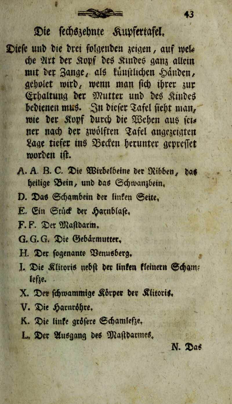 *=^§Söi^= 43 $>te fechbjehnte Äupfertafel, $)iefe unb bte frei folgenben setzen, auf wefc ct)e 'lut bet Äopf beb tfinbeb ganj allein mit bet 3«nge,, alb fünftlteben Rauben, gebiet wirb/ wenn man (ich ihrer jur <§thaltuug bet Butter unb beb üiubeb bebieneit ntub. 3« biefet 3afel fieht matt, wie bet Äopf butcb bie 5Behen aus fei* itet nach bet jwolften $afel angejcuiten Sage tiefet inb Reefen herunter gepreffet tporben ift. A. A. B. C. ©ie 2BitbeI6eine bet OJibbeti, ba$ heilig« $8ein, unb ba$ @chn>anj6ein, D. ©aö ©ebambein bet linfen ©eite, E. Gin ©tijef bet Jjuttiblafe» F. F. ©et 9Jia|tt>arm, G. G.G. ©ie ©ebdemutter, H. ©et fogenante 3Jenu«6erg, J. ©ie Älitori« yebjl bet Kufen fleinern ©tharn? lefje. X. ©et fdjttmmmige Ä6rpet bet Äiitoti#, V. ©ie ^>ai'nril)re, K. ©ie linfe gröfete ©chamlefje, L. ©et 3tu«ggtig be$ UJiafibatme«, N. ©a$