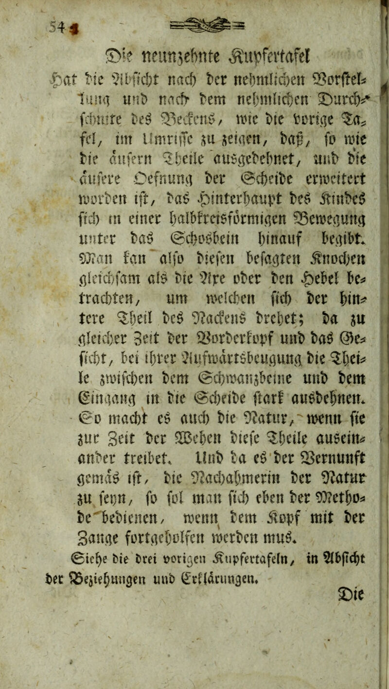 S>ie neunzehnte Ättpfevtafel Hat tue 9ibftcht nach her nebmlichett ^orftef» . Imin unh mich- hem nehmlichen 3>arch^ 1 fchrofe heg 53ecfmö, wie hie Pori.ae 3a; fei, tnt Unu'iiTc zu zeiaen/ bap/ fo wie tie äufertt $heile ausgebehnet, unh hie dufere Defnuna her ©chetbe erweitert worben tft, bas Hinterhaupt be$ Äinheö fid) in einer halbfreiöformicten SSewepna unter ba$ ©chobbciit hinauf beaibt. OJtan fan alfo hiefett befaßtest Knochen flietchfam als hie 9ipe ober hen Hebel he» trachtest/ um welchen (ich her hin» tere $heil bc$ 9?ac?enS brebet; ha p gleicher Seit her SSorberfopf unh hab @e» ficht/ hei ihrer Siufwärtsbeupnii hie $hei» Ic zmifeben hem ©ebroattzbeine utth hent (ginaana tn hie ©cbeibe ftarf auehchneit. ©o macht e$ aud) hie 9?atur/ wenn fte zur Seit her SBeben biete $beile aueein» ! anher treibet. Unh ha e$ her Vernunft genuB ift/ hie 9?ad)ab.metiit her ühatur ju fepn, fo fot man ftch eben her 9J?etbo* he^behienen, weitst hem Äopf mit her Samte fortaeJjolfett werben muS. ©ic!je feie Drei »origen Äupfertafein, in 2lb|icht bet S5ejie(}t«igen unb gtfiätungm. £>ie