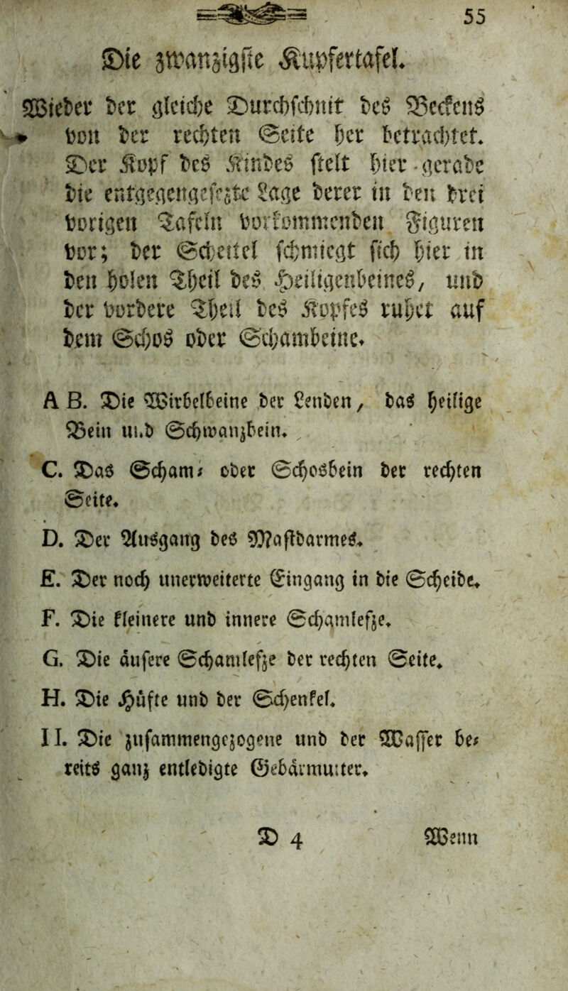 SDtc jttJönstgjie Äupfertofel. aßteber ber gleiche SDurcbfdmit beß 58ec?eu$ ♦ Don kr rechten ©eite bet betrachtet. SDcr Äoyf bce snnbcs freit f>tt-v gcrabe bte enfgectettgcfc jtc Sage berer tu beit f rei hörigen tafeln borfotttmenbeu Figuren ber; ber ©cbettcl fd;micgt fleh hier tu beit holen ^hetl beß dbetltgenbeineß, unb ber herbere ^heil be$ Äppfeö ruhet auf beut @cf)o$ ober «Schambeine. A B. SDie 3Bir6el6eine bet Senben, ba$ ^etffgc 55ciu tu.b ©cbtüanjbein. C. 5Daö @cf)am« ober ©cfiosbein bet rechten ©eite. D. ®et 2(u$gaitg beö 9??aftbarme$. £. £>er tied) unetroeiterte Eingang in bie ©treibe. F. £>ie Heinere unb innere ©dtgmfefje. G. 3Die atifere ©djantlefje bet rechten ©eite. H. ®ie Jjjüfte unb ber ©cf>en Pcf. II. £>ie jufammengejogene unb bet SDGafjfet be< reitö galt} entlebigte @ebdvmu:ter. £> 4 SBenn