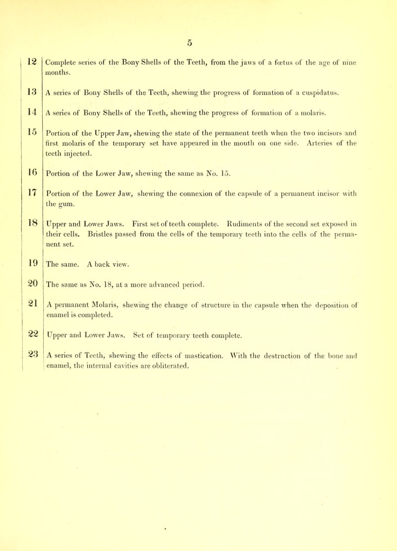 12 Complete series of the Bony Shells of the Teeth, from the jaws of a foetus of the age of nine months. 13 A series of Bony Shells of the Teeth, shewing the progress of formation of a cuspidatus. 14 A series of Bony Shells of the Teeth, shewing the progress of formation of a molaris. 15 Portion of the Upper Jaw, shewing the state of the permanent teeth when the two incisors and first molaris of the temporary set have appeared in the mouth on one side. Arteries of the teeth injected. 16 Portion of the Lower Jaw, shewing the same as No. 15. IT Portion of the Lower Jaw, shewing the connexion of the capsule of a permanent incisor with the gum. 18 Upper and Lower Jaw's. First set of teeth complete. Rudiments of the second set exposed in their cells. Bristles passed from the cells of the temporary teeth into the cells of the perma- nent set. 19 20 The same. A back view. The same as No. 18, at a more advanced period. 21 A permanent Molaris, shewing the change of structure in the capsule when the deposition of enamel is completed. 99 Upper and Lowrer Jawrs. Set of temporary teeth complete. 23 A series of Teeth, shewing the effects of mastication, enamel, the internal cavities are obliterated. With the destruction of the bone and