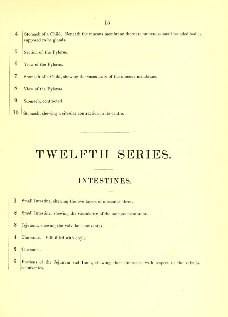 4 Stomach of a Child. Beneath the mucous membrane there are numerous small rounded bodies, supposed to be glands. 5 Section of the Pylorus. 6 View of the Pylorus. 7 Stomach of a Child, shewing the vascularity of the mucous membrane. 8 View of the Pylorus. 9 Stomach, contracted. 10 I Stomach, shewing a circular contraction in its centre. TWELFTH SERIES. INTESTINES. 1 2 S 4 5 6 Small Intestine, shewing the two layers of muscular fibres. Small Intestine, shewing the vascularity of the mucous membrane. Jejunum, shewing the valvulae conniventes. The same. Villi filled with chyle. The same. Portions of the Jejunum and Ilium, shewing their difference with respect to the valvulae [conniventes.