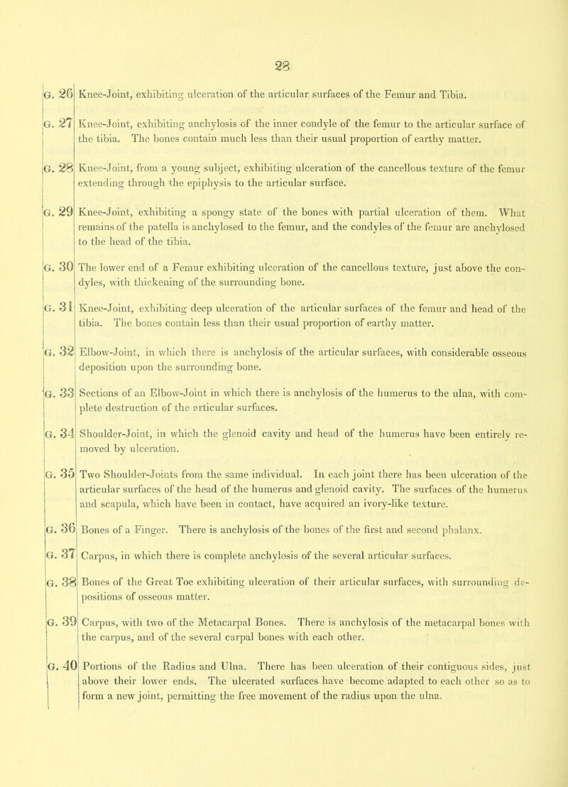 G. 26 Knee-Joint, exhibiting ulceration of the articular surfaces of the Femur and Tibia. g. 27 Knee-Joint, exhibiting anchylosis of the inner condyle of the femur to the articular surface of the tibia. The bones contain much less than their usual proportion of earthy matter. g. 28 g. 29 g. 30 g. 31 g. 32 g. 33 g. 34 g. 35 g. 36 g. 37 g. 38 g. 39 g. 40 Knee-Joint, from a young subject, exhibiting ulceration of the cancellous texture of the femur extending through the epiphysis to the articular surface. Knee-Joint, exhibiting a spongy state of the bones with partial ulceration of them. What remains of the patella is anchylosed to the femur, and the condyles of the femur are anchylosed to the head of the tibia. The lower end of a Femur exhibiting ulceration of the cancellous texture, just above the con- dyles, with thickening of the surrounding bone. Knee-Joint, exhibiting deep ulceration of the articular surfaces of the femur and head of the tibia. The bones contain less than their usual proportion of earthy matter. Elbow-Joint, in which there is anchylosis of the articular surfaces, with considerable osseous deposition upon the surrounding bone. Sections of an Elbow-Joint in which there is anchylosis of the humerus to the ulna, with com- plete destruction of the articular surfaces. Shoulder-Joint, in which the glenoid cavity and head of the humerus have been entirely re- moved by ulceration. Two Shoulder-Joints from the same individual. In each joint there has been ulceration of the articular surfaces of the head of the humerus and glenoid cavity. The surfaces of the humerus and scapula, which have been in contact, have acquired an ivory-like texture. Bones of a Finger. There is anchylosis of the bones of the first and second phalanx. Carpus, in which there is complete anchylosis of the several articular surfaces. Bones of the Great Toe exhibiting ulceration of their articular surfaces, with surrounding de- positions of osseous matter. Carpus, with two of the Metacarpal Bones. There is anchylosis of the metacarpal bones with the carpus, and of the several carpal bones with each other. Portions of the Radius and Ulna. There has been ulceration of their contiguous sides, just above their lower ends. The ulcerated surfaces have become adapted to each other so as to form a new joint, permitting the free movement of the radius upon the ulna.