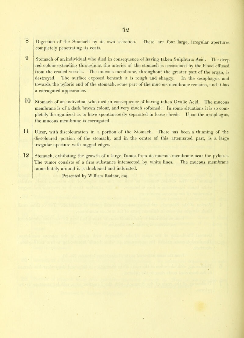 8 Digestion of the Stomach by its own secretion, completely penetrating its coats. There are four large, irregular apertures y Stomach of an individual who died in consequence of having taken Sulphuric Acid. The deep red colour extending throughout the interior of the stomach is occasioned by the blood effused from the eroded vessels. The mucous membrane, throughout the greater part of the organ, is destroyed. The surface exposed beneath it is rough and shaggy. In the oesophagus and towards the pyloric end of the stomach, some part of the mucous membrane remains, and it has a corrugated appearance. 10 Stomach of an individual who died in consequence of having taken Oxalic Acid. The mucous membrane is of a dark brown colour, and very much softened. In some situations it is so com- pletely disorganized as to have spontaneously separated in loose shreds. Upon the oesophagus, the mucous membrane is corrugated. 11 Ulcer, with discolouration in a portion of the Stomach. There has been a thinning of the discoloured portion of the stomach, and in the centre of this attenuated part, is a large irregular aperture with ragged edges. 12 Stomach, exhibiting the growth of a large Tumor from its mucous membrane near the pylorus. The tumor consists of a firm substance intersected by white lines. The mucous membrane immediately around it is thickened and indurated. Presented by William Radnor, esq.