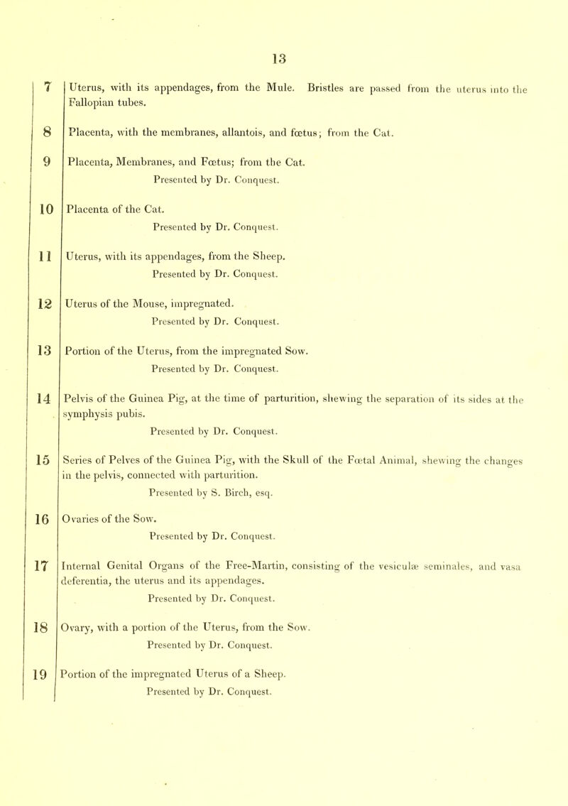 7 8 9 10 11 12 13 14 15 16 17 18 19 Uterus, with its appendages, from the Mule. Bristles are passed from the uterus into the Fallopian tubes. Placenta, with the membranes, allantois, and foetus; from the Cat. Placenta, Membranes, and Foetus; from the Cat. Presented by Dr. Conquest. Placenta of the Cat. Presented by Dr. Conquest. Uterus, with its appendages, from the Sheep. Presented by Dr. Conquest. Uterus of the Mouse, impregnated. Presented by Dr. Conquest. Portion of the Uterus, from the impregnated Sow. Presented by Dr. Conquest. Pelvis of the Guinea Pig, at the time of parturition, shewing the separation of its sides at the symphysis pubis. Presented by Dr. Conquest. Series of Pelves of the Guinea Pig, with the Skull of the Foetal Animal, shewing the changes in the pelvis, connected with parturition. Presented by S. Birch, esq. Ovaries of the Sow. Presented by Dr. Conquest. Internal Genital Organs of the Free-Martin, consisting of the vesiculse seminales, and vasa deferentia, the uterus and its appendages. Presented by Dr. Conquest. Ovary, with a portion of the Uterus, from the Sow. Presented by Dr. Conquest. Portion of the impregnated Uterus of a Sheep. Presented by Dr. Conquest.