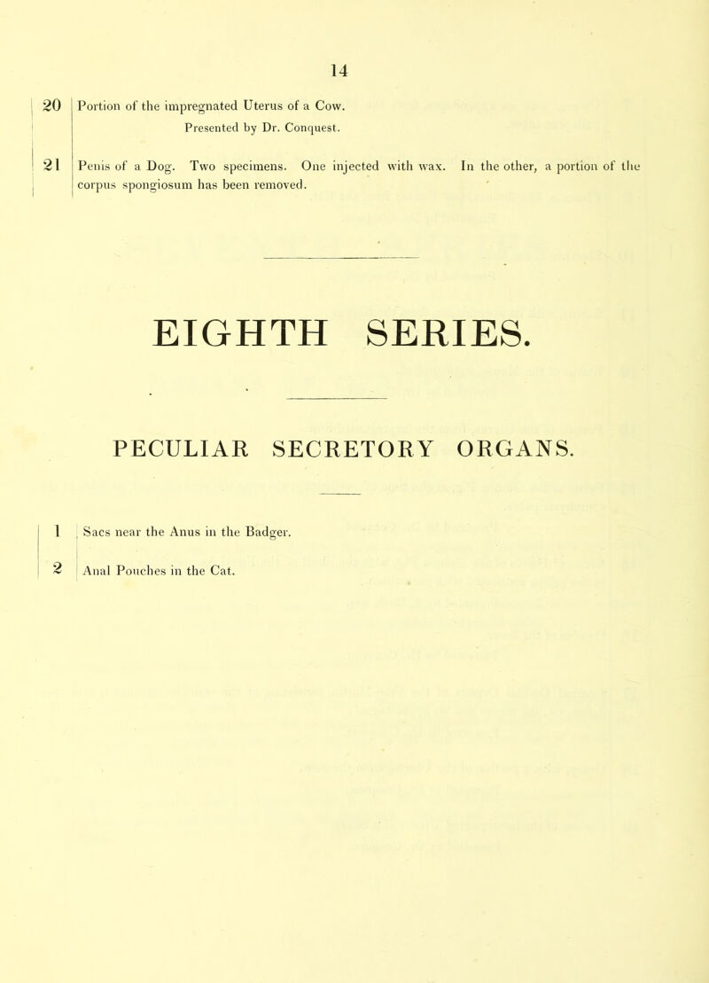 20 Portion of the impregnated Uterus of a Cow. Presented by Dr. Conquest. 21 Penis of a Dog. Two specimens. One injected with wax. In the other, a portion of the corpus spongiosum has been removed. EIGHTH SERIES. PECULIAR SECRETORY ORGANS. 1 Sacs near the Anus in the Badger. Anal Pouches in the Cat.