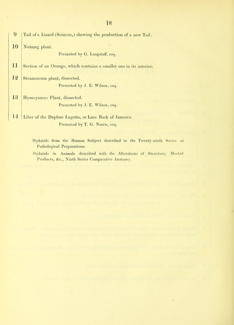 IB 9 Tail of a Lizard (Scincus,) shewing the production of a new Tail, 10 Nutmeg' plant. Presented by G. Langstaff, esq. 11 Section of an Orange, which contains a smaller one in its interior. 12 13 14 Stramonium plant, dissected. Presented by J. E. Wilson, esq. Hyoscyamus Plant, dissected. Presented by J. E. Wilson, esq. Liber of the Daphne Lagetto, or Lace Bark of Jamaica. Presented by T. G. Norris, esq. Hydatids from the Human Subject described in the Twenty-ninth Series of Pathological Preparations. Hydatids in Animals described with the Alterations of Structure, Morbid Products, &c,; Ninth Series Comparative Anatomy.