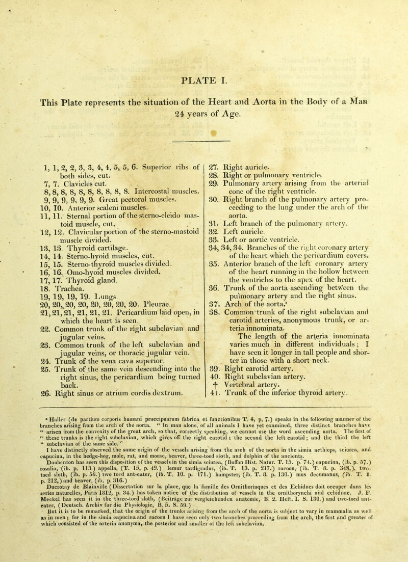 This Plate represents the situation of the Heart and Aorta in the Body of a Man 24 years of Age. 1, 1, 2, 2, 3, 3, 4, 4, 5, 5, 6. Superior ribs of | both sides, cut. 7, 7. Clavicles cut. 8,8, 8, 8, 8, 8, 8, 8, 8, 8. Intercostal muscles. 9, 9, 9, 9, 9, 9. Great pectoral muscles. 10, 10. Anterior scaleni muscles. 11, 11. Sternal portion of the sterno-cleido mas- toid muscle, cut. 12, 12. Clavicular portion of the sterno-mastoid muscle divided. 13, 13 Thyroid cartilage. 14, 14. Sterno-hyoid muscles, cut. 15, 15. Sternothyroid muscles divided. 16, 16., Omo-hyoid muscles divided. 17, 17. Thyroid gland. 18, Trachea. 19, 19, 19, 19- Lungs. 20, 20,, 20, 20, 20, 20, 20, 20. Pleurae. 21,21, 21, 21, 21, 21. Pericardium laid open, in which the heart is seen. 22. Common trunk of the right subclavian and jugular veins. 23. Common trunk of the left subclavian and jugular veins, or thoracic jugular vein. 24. Trunk of the vena cava superior. 25. Trunk of the same vein descending into the right sinus, the pericardium being turned back. 26. Right sinus or atrium cordis dextrum. 27. Right auricle. 28. Right or pulmonary ventricle-. 29- Pulmonary artery arising from the arterial cone of the right ventricle. 30. Right branch of the pulmonary artery pro- ceeding to the lung under the arch of the aorta. 31. Left branch of the pulmonary artery. 32. Left auricle. 33. Left or aortic ventricle. 34. 34, 34. Branches of the right coronary artery of the heart which the pericardium covers. 35. Anterior branch of the left coronary artery of the heart running in the hollow between the ventricles to the apex of the heart. 36. Trunk of the aorta ascending betw’een the pulmonary artery and the right sinus. 37. Arch of the aorta.3 38. Common trunk of the right subclavian and carotid arteries, anonymous trunk, or ar- teria innominata. The length of the arteria innominata varies much in different individuals; I have seen it longer in tall people and shor- ter in those with a short neck. 39- Right carotid artery. 40. Right subclavian artery. -f- Vertebral artery. 41. Trunk of the inferior thyroid artery. a Haller (de partium corporis humani praecipuarum fabrica el funetionibus T. 4>, p. 7-) speaks in the following manner of the branches arising from the arch of the aorta, “ In man alone, of all animals I have yet examined, three distinct branches have “ arisen from the convexity of the great arch, so that, correctly speaking, we cannot use the word ascending aorta, 't he first of “ these trunks is the right subclavian, which gives off the right carotid ; the second the left carotid ; and the third the left “ subclavian of the same side. ’’ I have distinctly observed the same origin of the vessels arising from the arch of the aorta in the simia aethiops, sciurea, and capucina, in the hedge-hog, mole, rat, and mouse, beaver, three-toed sioth, and dolphin of the ancients. Daubenton has seen this disposition of the vessels in the simia sciurea, (Bulfon Hist. Natur. T. 15. p. 74.) capucina, (ib. p. 57.) rosalia, (ib. p. 113 ) appella, (T. 15, p. 49.) lemur tardigradus, (ib. T. 13. p. 217.) racoon, (ib. T. 8. p. 348,). two- toed sloth, (ib. p. 50.) two toed ant-eater, (ib. T. 10. p. 171.) hainpster, (ib. X. 8. p. 130.) mus decumanus, (ib. T. if. p. 212,) and beaver, (ib. p. 316.) Ducrotay de Blainville (Dissertation sur la place, que la famille des Ornithorinques et des Echidnes doit occuper dans lex series naturelles, Paris 1812, p. 34.) has taken notice of the distribution of vessels in the ornithorynchi aiid echidnae. .1. F. Meckel has seen it in the three-toed sloth, (Beitrage zur vergleiehenden anatomie, B. 2. Heft. 1. S. 130.) and two-toed ant- eater, (Deutsch. Archiv fur die Physiologie, B. 5. S. 59.) But it is to be remarked, that the origin of the trunks arising from the arch of the aorta is subject to vary in mammalia as well as in men ; for in the simia capucina and racoon I have seen only two branches proceeding from the arch, the first and greater of which consisted of the arteria anonyma, the posterior and smaller of the left subclavian,