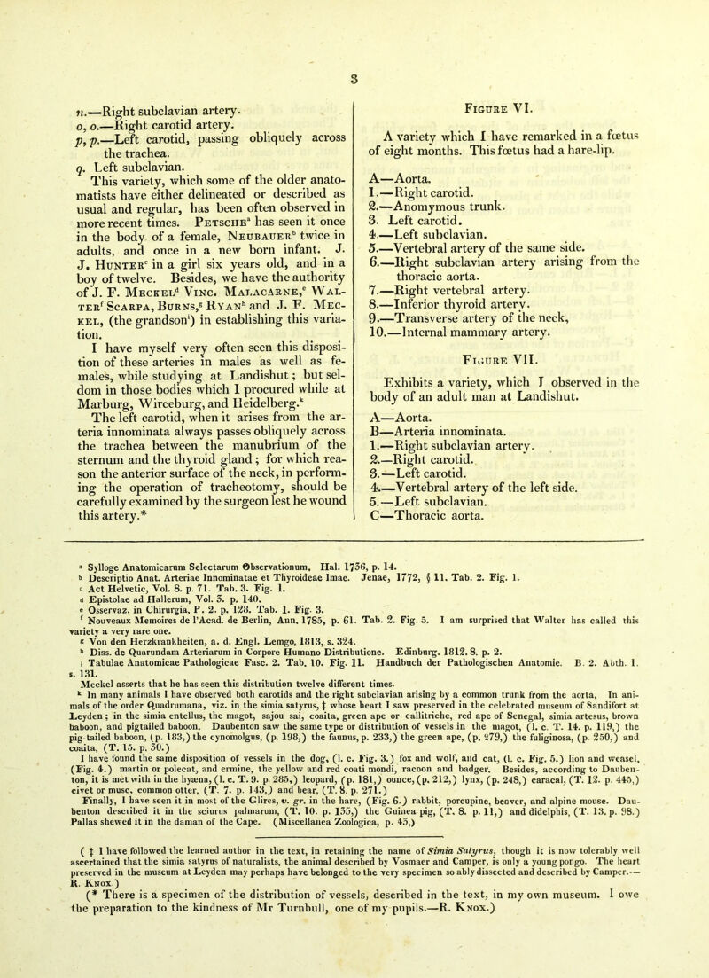 n. —Right subclavian artery. o, o.—Right carotid artery. p, p.—Left carotid, passing obliquely across the trachea. q. Left subclavian. This variety, which some of the older anato- matists have either delineated or described as usual and regular, has been often observed in more recent times. Petsche* has seen it once in the body of a female, NEUBAUERb twice in adults, and once in a new born infant. J. J. Hunterc in a girl six years old, and in a boy of twelve. Besides, we have the authority of J. F. Meckel/* 1 * * * * Vinc. Malacarne,6 * Wal- ter1 Scarpa, Burns,8 * * Ryan11 and J. F. Mec- kel, (the grandson1) in establishing this varia- tion. I have myself very often seen this disposi- tion of these arteries in males as well as fe- males, while studying at Landishut; but sel- dom in those bodies which I procured while at Marburg, Wirceburg, and Heidelberg.* The left carotid, when it arises from the ar- teria innominata always passes obliquely across the trachea between the manubrium of the sternum and the thyroid gland ; for which rea- son the anterior surface of the neck, in perform- ing the operation of tracheotomy, should be carefully examined by the surgeon lest he wound this artery.* Figure VI. A variety which I have remarked in a fcetus of eight months. This fcetus had a hare-lip. A—Aorta. 1. —Right carotid. 2. —Anomymous trunk. 3. Left carotid. 4. —Left subclavian. 5. —Vertebral artery of the same side. 6. —Right subclavian artery arising from the thoracic aorta. 7. —Right vertebral artery. 8. —Inferior thyroid artery. 9. —Transverse artery of the neck, 10. —Internal mammary artery. Figure VII. Exhibits a variety, which I observed in the body of an adult man at Landishut. A—Aorta. B—Arteria innominata. 1. —Right subclavian artery. 2. —Right carotid. 3. —Left carotid. 4. —Vertebral artery of the left side. 5. —Left subclavian. C—Thoracic aorta. a Sylloge Anatomicarura Selectarum ©bservationum, Hal. 1736, p. 14. b Descriptio Anat. Arteriae Innorainatae et Thyroideae Imae. Jenae, 1772, $ 11. Tab. 2. Fig. 1. c Act Helvetic, Vol. 8. p. 71. Tab. 3. Fig. 1. d Epistolae ad Hallerum, Vol. 3. p. 140. c Osservaz. in Chirurgia, P. 2. p. 128. Tab. 1. Fig. 3. f Nouveaux IMemoires de l’Acad. de Berlin, Ann, 1785, p. 61. Tab. 2. Fig. 5. I am surprised that Walter has called this variety a very rare one. s Von den Herzkrankheiten, a. d. Engl. Lemgo, 1813, s. 324. h Diss. de Quarundam Arteriarum in Corpore Humano Distributione. Edinburg. 1812.8. p. 2. i Tabulae Anatomicae Pathologicae Fasc. 2. Tab. 10. Fig. 11. Handbnch der Pathologischen Anatomie. B. 2. Abth. 1. s. 131. Meckel asserts that he has seen this distribution twelve different times. k In many animals 1 have observed both carotids and the right subclavian arising by a common trunk from the aorta. In ani- mals of the order Quadrumana, viz. in the simia satyrus, t whose heart I saw preserved in the celebrated museum of Sandifort at Eeyden; in the simia entellus, the magot, sajou sai, coaila, green ape or callitriche, red ape of Senegal, simia artesus, brown baboon, and pigtailed baboon. Daubenton saw the same type or distribution of vessels in the magot, (1. c. T. 14. p. 113,) the pig-tailed baboon, (p. 183,) the cynomolgus, (p. 198,) the faunus, p. 233,) the green ape, (p. 279,) the fuliginosa, (p. 250,) aDd coaita, (T. 15. p. 30.) I have found the same disposition of vessels in the dog, (1. c. Fig. 3.) fox and wolf, and cat, (1. c. Fig. 5.) lion and weasel, (Fig. 4.) martin or polecat, and ermine, the yellow and red coati mondi, racoon and badger. Besides, according to Dauben- ton, it is met with in the hyaena, (1. c. T. 9. p. 285,) leopard, (p. 181,) ounce, (p. 212,) lynx, (p. 248,) caracal, (T. 12. p.445,) civet or muse, common otter, (T. 7- P- 143,) and bear, (T. 8. p. 271.) Finally, 1 have seen it in most of the Glires, v. gr. in the hare, (Fig. 6.) rabbit, porcupine, beaver, and alpine mouse. Dau- benton described it in the sciurus palmarum, (T. 10. p. 135,) the Guinea pig, (T\ 8. p. 11,) and didelphis, (T. 13. p. 98.) Pallas shewed it in the daman of the Cape. (Miscellanea Zoologica, p. 43,) ( J 1 have followed the learned author in the text, in retaining the name of Simia Satyrus, though it is now tolerably well ascertained that the simia satyrus of naturalists, the animal described by Vosmaer and Camper, is only a young pongo. The heart preserved in the museum at Eeyden may perhaps have belonged to the very specimen so ably dissected and described by Camper.- — R. Knox ) (* There is a specimen of the distribution of vessels, described in the text, in my own museum. I owe the preparation to the kindness of Mr Turnbull, one of my pupils.—R. Knox.)