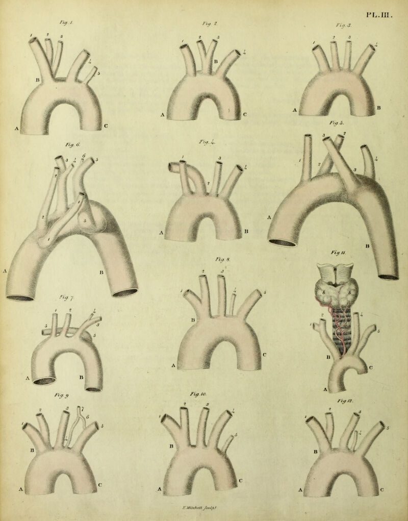 Fig J. r,.9- 6 - luj 2. Fig. J2. Fig. 5. E.MitehcLL Jcut/i!