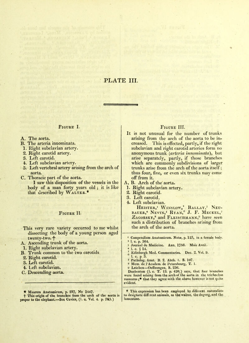 Figure I. A. The aorta. B. The arteria innominata. 1. Right subclavian artery. 2. Right carotid artery. 3. Left carotid. 4. Left subclavian artery. 5. Left vertebral artery arising from the arch of aorta. C. Thoracic part of the aorta. I saw this disposition of the vessels in the body of a man forty years old ; it is like that described by Walter.* Figure II. # This very rare variety occurred to me whilst dissecting the body of a young person aged twenty-two. -f* A. Ascending trunk of the aorta. 1. Right subclavian artery. B. Trunk common to the two carotids 2. Right carotid. 3. Left carotid. 4. Left subclavian. C. Descending aorta. * Museum Anatomicum, p. 237, No 1447. f This origin of the branches from the arch of the aorta is proper to the elephant.—See Cuvier, (1. c. Vol. 4. p. 243.) Figure III. It is not unusual for the number of trunks arising from the arch of the aorta to be in- creased. This is effected, partly, if the right subclavian and right carotid arteries form no anonymous trunk [arteria innominata), but arise separately, partly, if those branches which are commonly subdivisions of larger trunks arise from the arch of the aorta itself; thus four, five, or even six trunks may come off from it. A, B. Arch of the aorta. 1. Right subclavian artery. 2. Right carotid. 3. Left carotid. 4. Left subclavian. Heister,1 Winslow,1 Ballay,3 Neu- bauer,4 Nevun,5 Ryan,6 J. F. Meckel,7 Zagorsky,8 and Fleischmann,9 have seen such a distribution of branches arising from the arch of the aorta. 1 Compendium Anatomicum. Not®, p. 123, in a female body. 2 1. c. p. 364. 3 Journal de Medicine. Ann. 1738. Mois Avril. * 1. c. $ 14. s Edinburgh Med. Commentaries. Dec. 2. Vol. 0. 1. c. p 3. ^ Patholog. Anat. B. 2. Abth. I. S. 107. 8 Mem. de l’Academ. de 1‘etersbourg, T. 1. o Leichen—Oeffnungen, S. 236. Daubenton (1. c. T. 13. p. 420,) says, that four branches were found arising from the arch of the aorta in the trichechus rosmarus ;* that they agree with the above however is not quite evident. * This expression has been employed by different naturalists to designate different animals, as the walrus, the dngong.and the lamcntine.