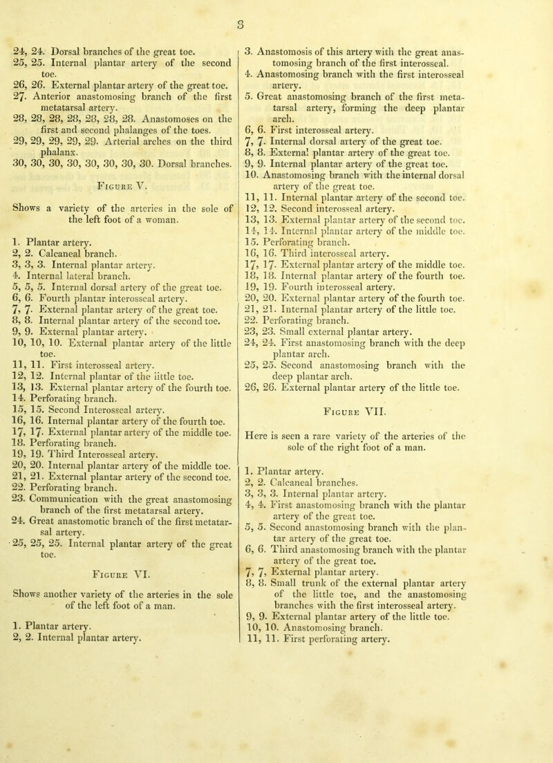 8 24, 24. Dorsal branches of the great toe. 25, 25. Internal plantar artery of the second toe. 26, 26. External plantar artery of the great toe. 27, Anterior anastomosing branch of the first metatarsal artery. 28, 28, 28, 28, 28, 28, 28. Anastomoses on the first and second phalanges of the toes. 29, 29, 29, 29, 29. Arterial arches on the third phalanx. 30, 30, 30, 30, 30, 30, 30, 30. Dorsal branches. Figure V. Shows a variety of the arteries in the sole of the left foot of a woman. 1, Plantar artery. 2, 2. Calcaneal branch. 3, 3, 3. Internal plantar artery. 4, Internal lateral branch. 5, 5, 5. Internal dorsal artery of the great toe. 6, 6. Fourth plantar interosseal artery. 7, 7- External plantar artery of the great toe. 8, 8. Internal plantar artery of the second toe. 9, 9. External plantar artery. 10, 10, 10. External plantar artery of the little toe. 11, 11. First interosseal artery. 12, 12. Internal plantar of the little toe. 13, 13. External plantar artery of the fourth toe. 14, Perforating branch. 15, 15. Second Interosseal artery. 16, 16. Internal plantar artery of the fourth toe. 17? 17- External plantar artery of the middle toe. 18. Perforating branch. 19. 19- Third Interosseal artery. 20. 20. Internal plantar artery of the middle toe. 21. 21. External plantar artery of the second toe. 22. Perforating branch. 23. Communication with the great anastomosing branch of the first metatarsal artery. 24. Great anastomotic branch of the first metatar- sal artery. • 25, 25, 25. Internal plantar artery of the great toe. Figure VI. Shows another variety of the arteries in the sole of the left foot of a man. 1. Plantar artery. 2, 2. Internal plantar artery. 3, Anastomosis of this artery with the great anas- tomosing branch of the first interosseal. 4, Anastomosing branch with the first interosseal artery. 5, Great anastomosing branch of the first meta- tarsal artery, forming the deep plantar arch. 6, 6. First interosseal artery. 7, 7- Internal dorsal artery of the great toe. 8, 8. External plantar artery of the great toe. 9, 9- Internal plantar artery of the great toe. 10, Anastomosing branch with the internal dorsal artery of the great toe. 11, 11. Internal plantar artery of the second toe. 12, 12. Second interosseal artery. 13, 13. External plantar artery of the second toe. 14, 14. Internrl plantar artery of the middle toe. 15, Perforating branch. 16, 16. Third interosseal artery. 17? 17- External plantar artery of the middle toe. 18, 18. Internal plantar artery of the fourth toe. 19, 19- Fourth interosseal artery. 20, 20. External plantar artery of the fourth toe. 21, 21. Internal plantar artery of the little toe. 22, Perforating branch. 23, 23. Small external plantar artery. 24, 24. First anastomosing branch with the deep plantar arch. 25, 25. Second anastomosing branch with the deep plantar arch. 26, 26. External plantar artery of the little toe. Figure VII. Here is seen a rare variety of the arteries of the sole of the right foot of a man. 1, Plantar artery. 2, 2. Calcaneal branches. 3, 3, 3. Internal plantar artery. 4, 4. First anastomosing branch with the plantar artery of the great toe. 5, 5. Second anastomosing branch with the plan- tar artery of the great toe. 6, 6. Third anastomosing branch with the plantar artery of the great toe. 7, 7> External plantar artery. 8, 8. Small trunk of the external plantar artery of the little toe, and the anastomosing branches with the first interosseal artery. 9, 9- External plantar artery of the little toe. 10, 10. Anastomosing branch. 11, 11. First perforating artery.
