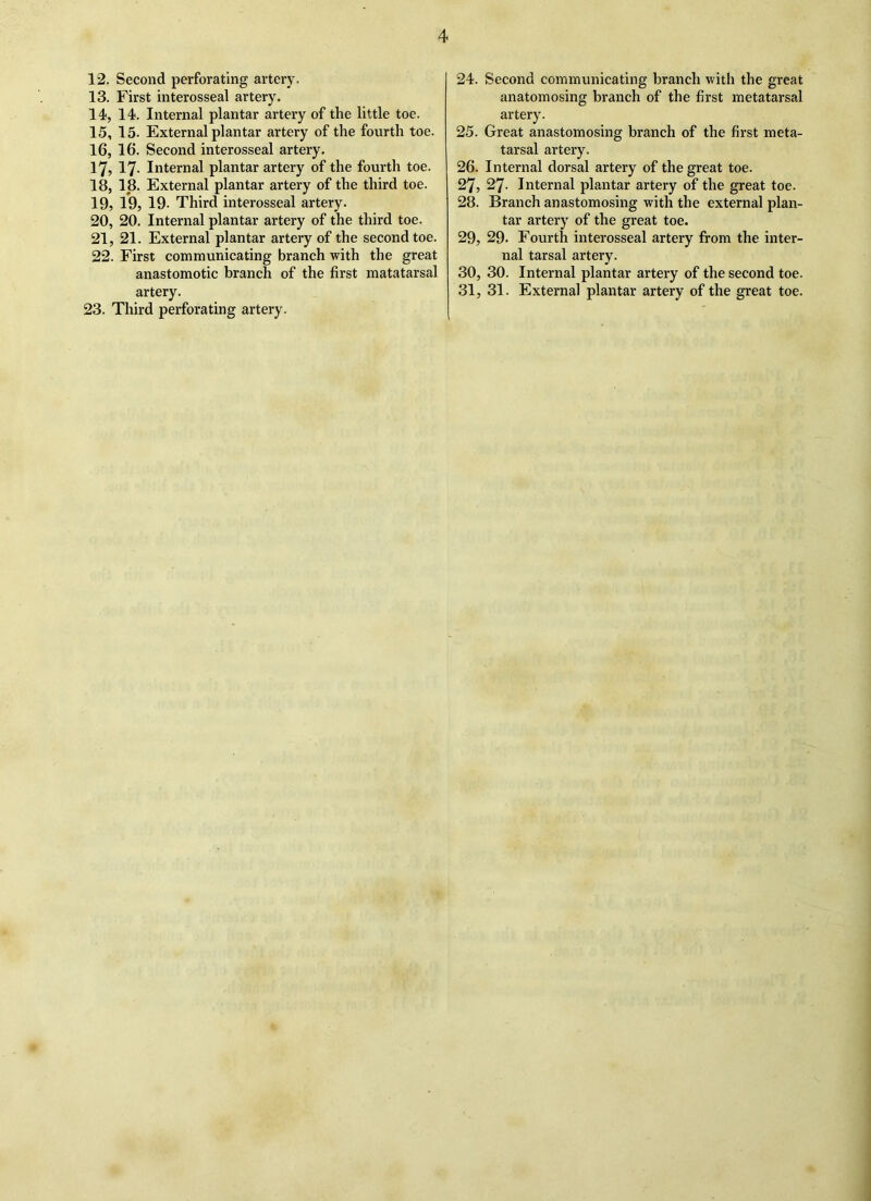 12, Second perforating artery. 13, First interosseal artery. 14, 14. Internal plantar artery of the little toe. 15, 15. External plantar artery of the fourth toe. 16, 16. Second interosseal artery. 17, 17- Internal plantar artery of the fourth toe. 18, 18. External plantar artery of the third toe. 19, 19, 19- Third interosseal artery. 20, 20. Internal plantar artery of the third toe. 21, 21. External plantar artery of the second toe. 22, First communicating branch with the great anastomotic branch of the first matatarsal artery. 23. Third perforating artery. 24. Second communicating branch with the great anatomosing branch of the first metatarsal artery. 25. Great anastomosing branch of the first meta- tarsal artery. 26. Internal dorsal artery of the great toe. 27, 27- Internal plantar artery of the great toe. 28. Branch anastomosing with the external plan- tar artery of the great toe. 29, 29. Fourth interosseal artery from the inter- nal tarsal artery. 30, 30. Internal plantar artery of the second toe. 31, 31. External plantar artery of the great toe.