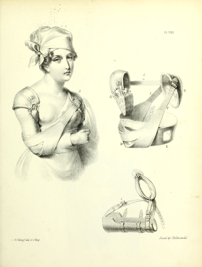 GSakau^'oUL ibh tfiog. Jhnfod fy CSdbnandol/.