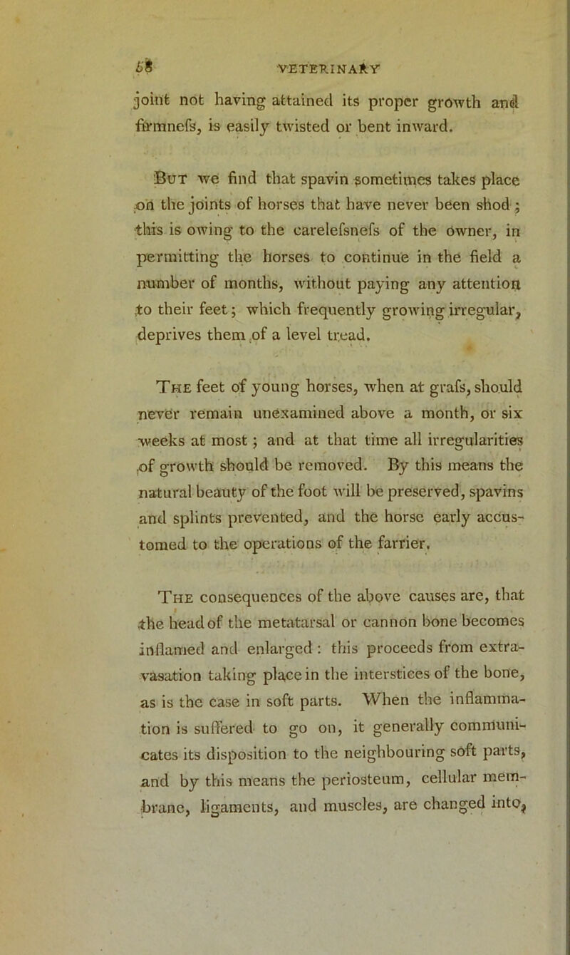 lit joint not having attained its proper growth and fhrnnefs, is easily twisted or bent inward. 'But we find that spavin sometimes takes place .on the joints of horses that have never been shod ; •this is owing to the carelefsnefs of the owner, in permitting the horses to continue in the field a number of months, without paying any attention to their feet; which frequently growing irregular, deprives them of a level tread. The feet of young horses, when at grafs, should never remain unexamined above a month, or six weeks at most; and at that time all irregularities .of growth should be removed. By this means the natural beauty of the foot will be preserved, spavins and splints prevented, and the horse early accus- tomed to the operations of the farrier. The consequences of the above causes are, that •the head of the metatarsal or cannon bone becomes inflamed and enlarged : this proceeds from extra- vasation taking place in the interstices of the bone, as is the case in soft parts. When the inflamma- tion is suffered to go on, it generally communi- cates its disposition to the neighbouring soft parts, and by this means the periosteum, cellular mem- brane, ligaments, and muscles, are changed into?