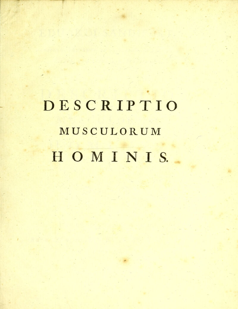 * DESCRIPTIO MUSCULORUM HOMINIS.