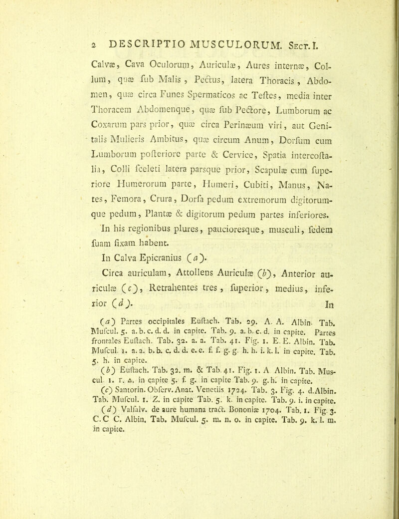 Calvss, Cava Oculorum, Auricula?, Aures internas, Col- lum, quas fub Malis , Pectus, latera Thoracis, Abdo- men, qua? circa Funes Spermaticos ac Teftes, media inter Thoracem Abdomenque, qua? fub Pedore, Lumborum ac Coxarum pars prior, qua? circa Perinasum viri, aut Geni- talis Mulieris Ambitus, quas circum Anum, Dorfum cum Lumborum pofteriore parte & Cervice, Spatia intercofta- lia, Colli fceleti latera parsque prior, Scapulas cum fupe- riore Humerorum parte, Humeri, Cubiti, Manus, Na- tes, Femora, Crura, Dorfa pedum extremorum digitorum- que pedum, Plantae & digitorum pedum partes inferiores. In his regionibus plures, paucioresque, musculi, fedem fuam fixam habent. In Calva Epicranius £&')• Circa auriculam, Attollens Auriculae (T), Anterior au- riculas (e), Retrahentes tres, fuperior, medius, infe- rior Qdin (rt) Partes occipitales Euflach. Tab. 29. A. A. Albin. Tab. Mufcul. 5. a.b.c. d. d. in capite. Tab. 9. a. b, c. d. in capite. Partes frontales Euflach. Tab. 32. a. a. Tab. 41. Fig. 1. E. E. Albin. Tab. Mufcul. 1. a. a. b.b. c. d. d. e. e. f. f. g. g. h. h. i. k. 1. in capite. Tab. 5. h. in capite. (£) Euflach. Tab. 32. m. & Tab. 41. Fig. 1. A Albin. Tab. Mus- cul 1. r. a. in capite 5. f. g. in capite Tab. 9. g. h. in capite. (c) Santorin. Obferv. Anat. Venedis 1724. Tab. 3. Fig. 4. d.Albin. Tab. Mufcul. 1. Z. in capite Tab. 5. k. in capite. Tab. 9. i. in capite. (*/) Valfalv. de aure humana traft. Bononia? 1704. Tab. 1. Fig 3. C. C C. Albin. Tab. Mufcul. 5. m. n. o. in capite. Tab. 9. k. 1. m» 'in capite.