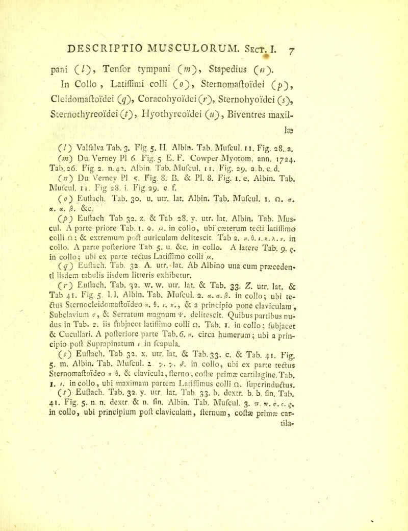 pani (/), Tenfor tympani (w), Stapedius Qny In Collo , Latiffimi colli (o), Sternomaftoidei (p}, Cleidomaftoidei (#), Coracohyoidei (V), Sternohyoidei (V), Sternothyreoidei CO’ Hyothyreoidei (uBiventres maxil- las (7) Valfalva Tab. 3. Fig. 5. II Albin. Tab. Mufcul. 11. Fig. 28. a. (m) Du Verney P1 6 Fig. 5 E. F. Cowper Myotom. ann, 1724. Tab. 26. Fig. 2. n. 42. Albin. Tab. Mufcul. xi. Fig. 29. a.b. c. d. O) Du Verney P1 5. Fig. 8. B. & Pl. 8. Fig. 1. e. Albin. Tab. Mufcul. 11. Fig 28. i. Fig.29. e f. (0) Eullach, Tab. 30. u. utr. lac. Albin. Tab. Mufcul. 1. n. a. a, a.. /3. &C. (/>9 Eullach Tab 32. z. & Tab 28. y. utr. lac. Albin. Tab. Mus- cul. A parte priore Tab. 1. 4>. fj.. in collo, ubicaeterum tedli latiffimo colli n; & extremum pofl auriculam delitescit. Taba. v. 6. /. v. in collo. A parte pofteriore Tab 5. u. &c. in collo. A latere Tab. 9. g. in collo; ubi ex parte tettus Latiffimo colli /u. (q) Eullach. Tab. 32 A. utr. lac. Ab Albino una cum prteceden- ti iisdem tabulis iisdem litteris exhibetur. (Y) Eullach. Tab. 32. w. w. utr. lat. & Tab. 33. Z. utr. lat. & Tab 41. Fig 5. 1.1. Albin. Tab. Mufcul. 2. a. a. /3. in collo; ubi te- ftus Sternocleidomaftoideo ». 0. /. & a principio pone claviculam. Subclavium <r, & Serratum magnum^, delitescit. Quibus partibus nu- dus in Tab. 2. iis fubjacet latiffimo colli a. Tab. 1. in collo; fubjacet & Cucullari. A pofteriore parte Tab. 6. ». circa humerum; ubi a prin- cipio poli Suprapinatuin 1 in fcapula. (s) Eullach. Tab 32. x. utr. lat. & Tab. 33. c. & Tab. 41. Fig. 5. m. Albin. Tab. Mufcul. z y. y. in collo, ubi ex parte teftus Sternomaftoideo » 5. & clavicula, llerno, colite primae cartilagine.Tab. I. /. in collo, ubi maximam partem Latiffimus colli a, fuperinduftus. (r) Eullach. Tab. 32. y. utr lat. Tab 33. b. dextr. b. b. lin. Tab. 41. Fig. 5. n n. dextr & n. lin. Albin. Tab. Mufcul. 3. w. w. <r. in collo, ubi principium poli claviculam, ilernum, collae primce car- iila- I