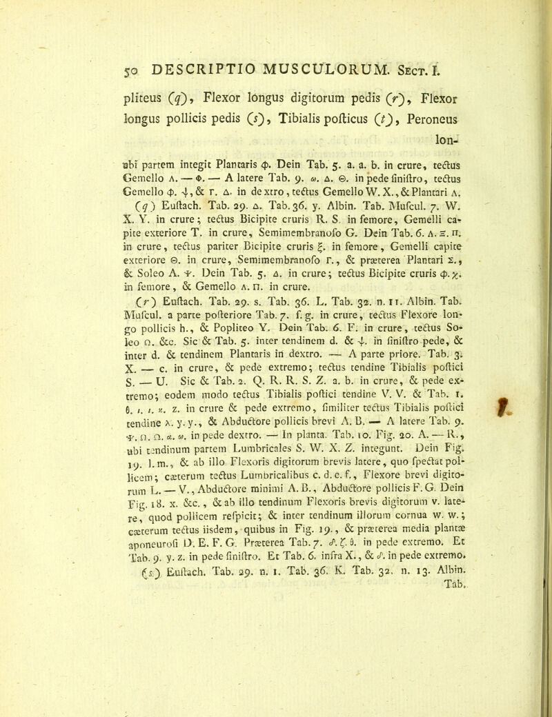 pliteus (q~). Flexor longus digitorum pedis (r)9 Flexor longus pollicis pedis (s), Tibialis pofticus (t), Peroneus lon- Bbi partem integit Plantaris <£>. Dein Tab. 5. a. a. b. in crure, te&us Gemello a. — <t>.— A latere Tab. 9. «. a. ©. in pede iiniftro, teftus Gemello 4>. 4»& r. a. in de xtro, te&us Gemello W. X.,& Plantari a. (q) Euftach. Tab. 29. a. Tab. 36. y. Albin. Tab. Mufcul. 7. W. X. Y. in crure; te&us Bicipite cruris R. S, in femore, Gemelli ca- pite exteriore T. in crure, Semimembranofo G. Dein Tab. 6. A. s. rr. in crure, teflus pariter Bicipite cruris in femore, Gemelli capite exteriore ©. in crure, Semimembranofo r., & praeterea Plantari 2., & Soleo A. •*•. Dein Tab. 5. a. in crure; te&us Bicipite cruris 4>. in femore, & Gemello a. n. in crure. (r) Euftach. Tab. 29. s. Tab. 36. L. Tab. 32. n. 11. Albin. Tab. Mufcul. a parte pofteriore Tab. 7. f. g. in crure, teftus Flexore lon- go pollicis h., & Popliteo Y. Dein Tab. 6. F. in crure, teftus So- leo o. &c. Sic & Tab. 5. inter tendinem d. & 4- in finiftro pede, & inter d. & tendinem Plantaris in dextro. — A parte priore. Tab. 3. X. — c. in crure, & pede extremo; teftus tendine Tibialis poftici S. — U. Sic & Tab. 2. Q. R. R. S. Z. a. b. in crure, & pede ex- tremo; eodem modo teftus Tibialis poftici tendine V. V. & Tab. r. G. /. /. >£. z. in crure & pede extremo, fimilicer tefrus Tibialis poftici tendine a. y.y., & Abdutftore pollicis brevi A. B. — A latere Tab. 9. -r. o. Q. «. «. in pede dextro. — In planta. Tab. 10. Fig. ao. A. — R., ubi tendinum partem Lumbricales S. W. X. Z. integunt. Dein Fig. 19. l.m., & ab illo Flexoris digitorum brevis latere, quo fpeftatpol- licem; ceterum re&us Lumbricalibus c. d.e. f.. Flexore brevi digito- rum l. — V., Abdutftore minimi A. B., Abduftore pollicis F. G. Dein Fig. xB. x. &c., &ab illo tendinum Flexoris brevis digitorum v. late- re, quod pollicem refpicit; & inter tendinum iliorum cornua w. w.; cseterum teftus iisdem, quibus in Fig. 19., & praeterea media plantae aponeurofi D. E. F. G. Praeterea Tab. 7. A ‘C B. in pede excremo. Et Tab. 9. y. z. in pede finiftro. Et Tab. 6, infra X., & J\ in pede extremo» fsy Euftach. Tab. 29. 11. 1. Tab. 36. K. Tab. 32, n. 13. Albin. Tab.