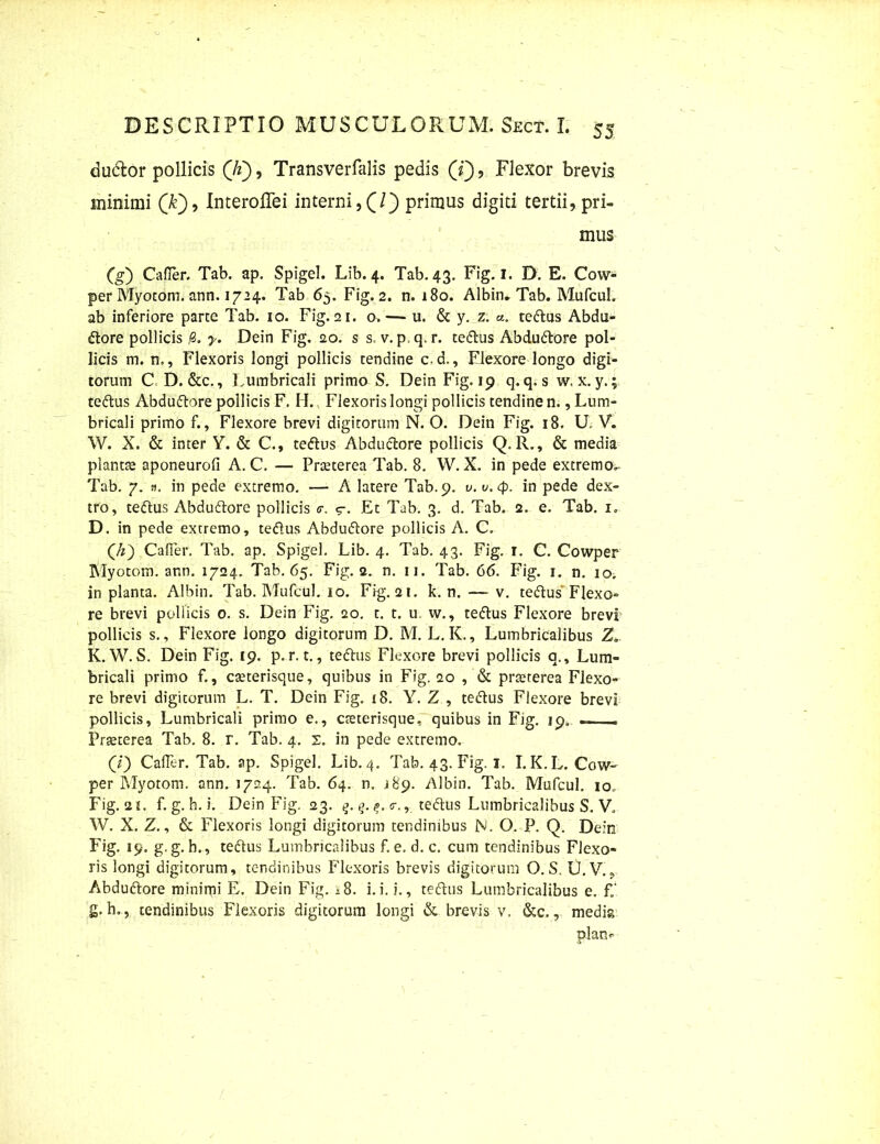 du&or pollicis (/?), Transverfalis pedis (f), Flexor brevis minimi (k'), Interoffei interni, (7) primus digiti tertii, pri- mus Cg) Cafler. Tab. ap. Spigel. Lib. 4. Tab. 43. Fig. 1. D. E. Cow- per Myotom. ann. 1724. Tab 65. Fig. 2. n. 180. Albin- Tab. Mufcul. ab inferiore parce Tab. 10. Fig. 21. o.— u. & y. z. «. tedus Abdu- dore pollicis 8. y. Dein Fig. 20. s s. v. p.q. r. tedus Abdudore pol- licis m. n.. Flexoris longi pollicis tendine c.d., Flexore longo digi- torum C D. &c.. Lumbricali primo S. Dein Fig. 19 q.q. s w. x.y.; tedus Abdudore pollicis F. H., Flexoris longi pollicis tendine n., Lum- bricali primo f., Flexore brevi digitorum N. O. Dein Fig. 18. U, V. W. X. & inter Y. & C., tedus Abdudore pollicis Q.R., & media plantas aponeurofi A. C. — Prasterea Tab. 8. W. X. in pede excremo^ Tab. 7. a. in pede extremo. — A latere Tab. 9. v. u.<p. in pede dex- tro, tedus Abdudore pollicis <r. g-. Et Tab. 3. d. Tab. 2. e. Tab. 1. D. in pede extremo, tedus Abdudore pollicis A. C. (h) Cafler. Tab. ap. Spigel. Lib. 4. Tab. 43. Fig. r. C. Cowper Myotom. artn. 1724. Tab. 65. Fig. 2. n. ii. Tab. 66. Fig. 1. n. 10. in planta. Albin. Tab. Mufcul. 10. Fig. 21. k. n. — v. tedus Flexo- re brevi pollicis 0. s. Dein Fig. ao. t. t. u w., tedus Flexore brevi pollicis s., Flexore longo digitorum D. M. L. K., Lumbricalibus Z* K. W. S. Dein Fig. 19. p. r. t., tedus Flexore brevi pollicis a.. Lum- bricali primo f., cseterisque, quibus in Fig. 20 , & prteterea Flexo- re brevi digitorum L. T. Dein Fig. t8. Y. Z , tedus Flexore brevi pollicis. Lumbricali primo e., cteterisque, quibus in Fig. 19. —— Praeterea Tab. 8. r. Tab. 4. X. in pede extremo. (/) Cafler. Tab. ap. Spigel. Lib. 4. Tab. 43. Fig. 1. I.K.L. Cow- per Myotom. ann. 1724. Tab. 64. n. i89. Albin. Tab. Mufcul. io„ Fig. 2t. f. g. h. i. Dein Fig. 23. q.q. tedus Lumbricalibus S. V. W. X. Z., & Flexoris longi digitorum tendinibus N. O. P. Q. Dein Fig. 19. g.g. h., tedus Lumbricalibus f. e. d. c. cum tendinibus Flexo- ris longi digitorum, tendinibus Flexoris brevis digitorum O. S. U. V., Abdudore minimi E. Dein Fig. 18. i.i. i., tedus Lumbricalibus e. f„‘ g. h,, tendinibus Flexoris digitorum longi & brevis v. &c., media plan*