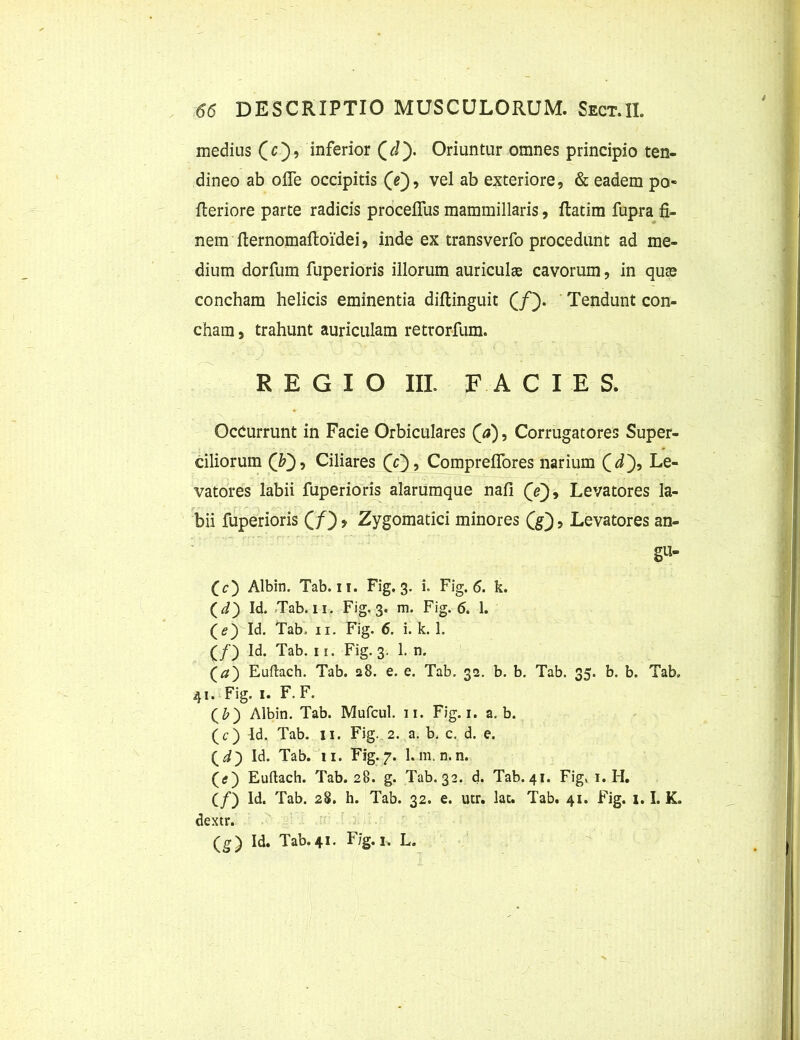 medius (c), inferior Qdy Oriuntur omnes principio ten- dineo ab offe occipitis (e), vel ab exteriore, & eadem po* fleriore parte radicis proceflus mammillaris, ftatim fupra fi- nem fternomaftoidei, inde ex transverfo procedunt ad me- dium dorfum fuperioris illorum auriculas cavorum, in quas concham helicis eminentia diflinguit (/). Tendunt con- cham , trahunt auriculam retrorfum. REGIO III. FACIES. Occurrunt in Facie Orbiculares (a), Corrugatores Super- ciliorum Ciliares (V), Compreflores narium (d), Le- vatores labii fuperioris alarumque nafi (V), Levatores la- bii fuperioris * Zygomatici minores QQ, Levatores an- gu- (c) Albin. Tab. ii. Fig. 3. i. Fig. 6. k. (^) Id. Tab. 11. Fig, 3. m. Fig. 6. 1. (e) Id. Tab, 11. Fig. 6. i. k. 1. (f) Id. Tab. 11. Fig. 3. 1. n. (a) Euftach. Tab. 28. e. e. Tab. 32. b. b. Tab. 35. b. b. Tab» 41. Fig. 1. F. F. (&) Albin. Tab. Mufcul. 11. Fig. 1. a. b. (c) Id. Tab. 11. Fig. 2. a. b. c. d. e. Qd) Id. Tab. 11. Fig.7. l.m.n.n. (<•) Euftach. Tab. 28. g. Tab.32. d. Tab.41. Fig. 1. H. (/) Id. Tab. 28. h. Tab. 32. e. utr. lac. Tab. 41. Fig. 1.1. K. dextr. (g) Id. Tab.41. F;g. 1. L. x