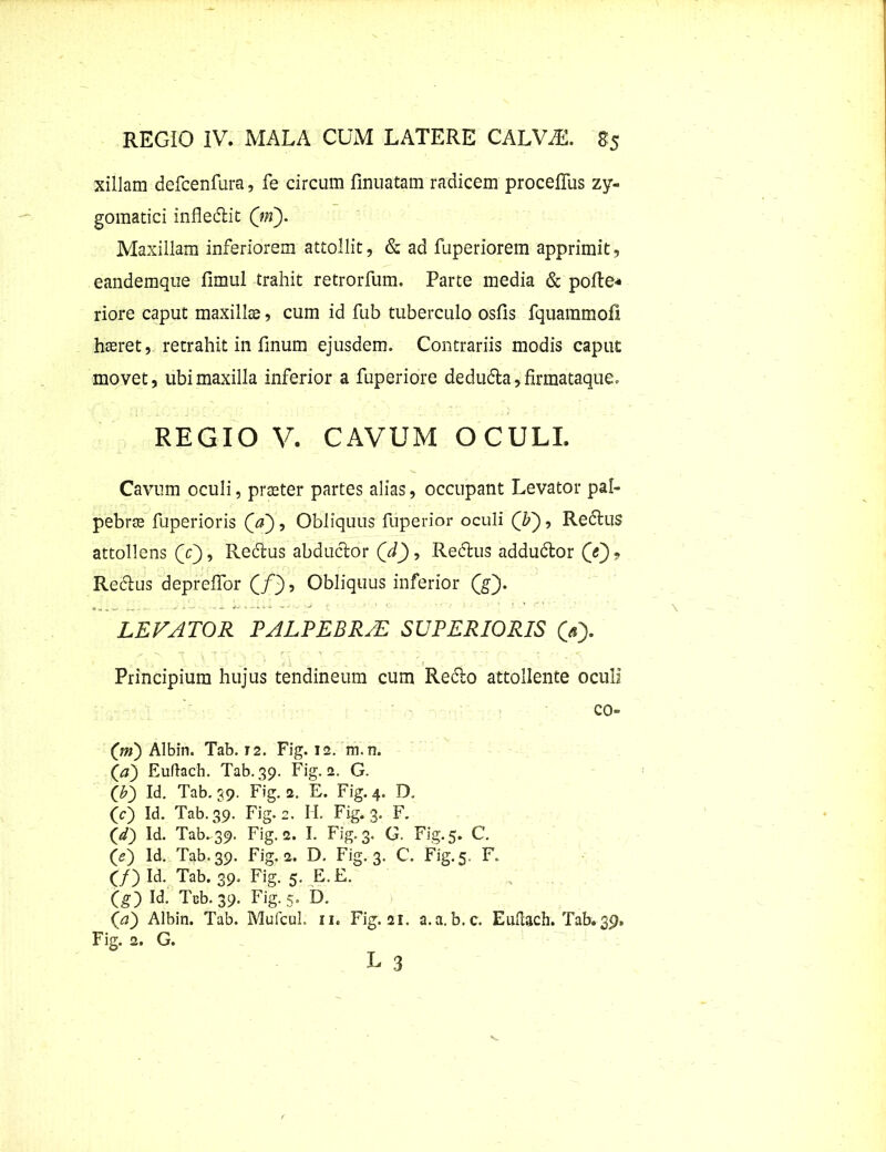 xillam defcenfura, fe circum firmatam radicem proceflus zy- gomatici infledlit (ni). Maxillam inferiorem attollit, & ad fuperiorem apprimit, eandemque fimul trahit retrorfum. Parte media & polle-* riore caput maxillae, cum id fub tuberculo osfis fquammofl haeret, retrahit in finum ejusdem. Contrariis modis caput movet, ubi maxilla inferior a fuperiore dedu6ta,firmataque. REGIO V. CAVUM OCULI. Cavum oculi, praeter partes alias, occupant Levator pal- pebrae fuperioris (V), Obliquus fuperior oculi (IT), Re6tus attollens (V), Redlus abductor (d)* Redlus addudlor (e)9 Redtus depretior (/) , Obliquus inferior (g). LEVATOR PALPEBR/E SUPERIORIS (*> Principium hujus tendineum cum Redto attollente oculi co- (m) Albin. Tab. T2. Fig. 12. m.n. (a) Euflach. Tab. 39. Fig. 2. G. ([b') Id. Tab. 39. Fig. 2. E. Fig. 4. D. (c) Id. Tab. 39. Fig. 2. II. Fig. 3. F. Id. Tab-39, Fig. 2. I. Fig. 3. G. Fig. 5. C. (e) Id. Tab. 39. Fig. 2. D, Fig. 3. C. Fig. 5. F. C/) Id. Tab. 39. Fig. 5. E. E. (g)Id. Tab. 39. Fig. 5. D. (/2) Albin. Tab. Mufcuh 11. Fig. 21. a.a. b.c. Euflach. Tab. 39, Fig. 2. G.