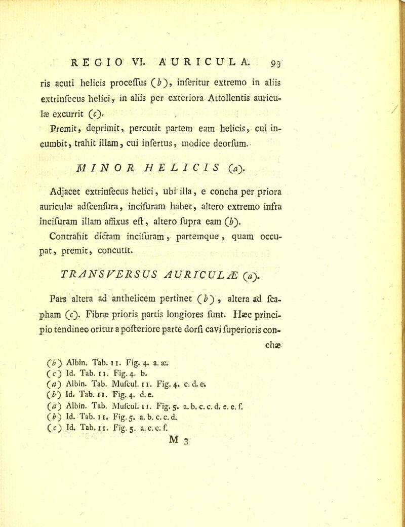 ris acuti helicis proceflus (/?), inferitur extremo in aliis extrinfecus helici, in aliis per exteriora Attollentis auricu- lae excurrit (c). Premit, deprimit, percutit partem eam helicis, cui in- cumbit, trahit illam, cui infertus, modice deorfum. MINOR HELICIS 0> Adjacet extrinfecus helici, ubi illa, e concha per priora auriculae adfcenfura, incifuram habet, altero extremo infra incifuram illam affixus eft, altero fupra eam (&), Contrahit didtam incifuram, partemque, quam occu- pat, premit, concutit. TRANSVERSUS AURICULA? (V). Pars altera ad anthelicem pertinet , altera ad fca- pham (V). Fibrae prioris partis longiores funt. Hsec princi- pio tendineo oritur a pofteriore parte dorfi cavi fuperioris con- chae Qb') Albin, Tab. ix. Fig. 4. a. x. (c) Id. Tab. 11. Fig. 4. b, (tf) Albin. Tab. Mufcul. 11. Fig, 4. c. d. (F) Id. Tab. 11. Fig. 4. d. e. (a') Albin. Tab. Mufcul. 11. Fig. 5. a. b. c. c. d. e. e. f. (£) Id. Tab. 11* Fig. 5. a. b. c. c. d. (cj) Id. Tab. 11. Fig. 5. a. e. e. f. M 3