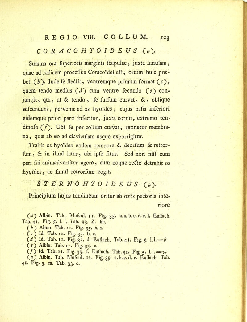 CORACOHTOIDEUS ( Summa ora fuperioris marginis fcapulae, juxta lunulam , quae ad radicem proceffus Coracoidei eft, ortum huic pras- bet (£). Indefe fledit, ventremque primum format (c), quem tendo medius Qcl') cum ventre fecundo (e) con- jungit, qui, ut & tendo, fe furfum curvat, &, oblique adfcendens, pervenit ad os hyoides, cujus bafis inferiori eidemque priori parti inferitur, juxta cornu, extremo ten* dinofo (fy Ubi fe per collum curvat, retinetur membra- na , quas ab eo ad claviculam usque exporrigitur. Trahit os hyoides eodem tempore & deorfum & retror» fum, & in illud latus, ubi ipfe fitus. Sed non nifi cum pari fui animadvertitur agere, cum eoque rede detrahit os hyoides, ac hmul retrorfum cogit. STERNOHYOIDEUS (>> Principium hujus tendineum oritur ab oslls pedoris inte- riore (rf) Albin. Tab. Mufcul. 11. Fig. 35. a.a. b. c. d.e. f. Euftacln Tab. 41. Fig. 5. 1.1. Tab. 33. Z. fin. (£) Albin Tab. 11. Fig. 35. a.a. (c) Id. Tab. ii. Fig. 35. b. c. (d') Id. Tab. ii. Fig. 35. d. Euflach. Tab.41. Fig. 5. 1.1.—-j8. CO Albin. Tab. 11. Fig. 35. e. (/) Id. Tab. 11. Fig. 35. f. Euflach. Tab.41. Fig. 5. 1.1.— y, Ca) Albin. Tab. Mufcul. 11. Fig. 39. a.b.c. d. e. Eufiach. Tab. 41. Fig. 5. m. Tab. 33. c.