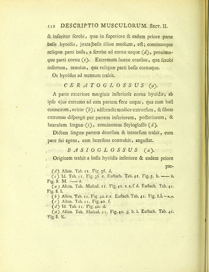 & inferitur fcrobi, quae in fuperiore & eadem priore parte bafis hyoidis, juxtajbafis illius medium, eft; continuoque reliquas parti bafis, a fcrobe ad cornu usque (d), proximae- que parti cornu (e). Extremum hocce crasfius, qua fcrobi infertum, tenuius, qua reliquae parti bafis cornuque. Os hyoides ad mentum trahit. CERATOGLOSSUS Qa). A parte exteriore marginis inferioris cornu hyoidis, ab ipfo ejus extremo ad eam partem fere usque, qua cum bafi connexum, oritur Qb); adfcendit modice extrorfum, & fibras extremas difpergit per partem inferiorem, pofleriorem, & lateralem linguae (V), continuatus StyloglofTo (d). Didiam lingua partem deorfum & introrfum trahit, cum pare fui agens, eam lateribus contrahit, anguflat. BASIOGLOSSUS <» Originem trahit a bafis hyoidis inferiore & eadem priore par- (d) Albin. Tab. it. Fig. 36. d. (e) Id. Tab. ii. Fig. 36 e. Eullach. Tab. 41. Fig.5. b. /3. Fig. 8, M. /3. (aj Albin. Tab. Mufcul. 11. Fig.40. e.e.f.d. Eullach. Tab.41. Fig. 8. I. Albin. Tab. 11. Fig. 40.e.e. Eullach.Tab. 41. Fig. 8.1. (O Albin. Tab. 11. Fig.40. f. (d) Id. Tab. 11. Fig. 40. d. (a) Albin. Tab. Mulcul. 11. Fig. 40. g. h. i. Eullach. Tab. 41. Fig. 8. K. 1