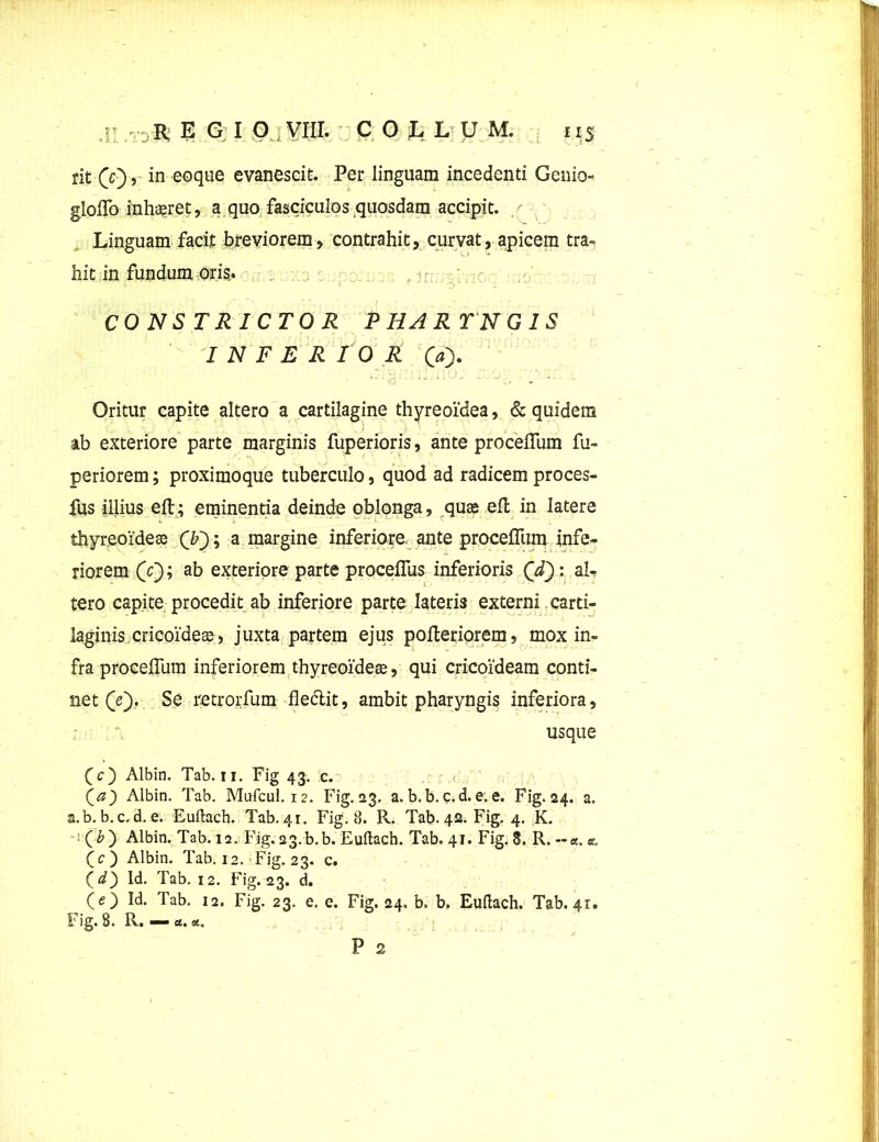 rit (c), in eoque evanescit. Per linguam incedenti Genio- glolfo inhaeret, a quo fasciculos quosdam accipit. / Linguam facit breviorem, contrahit, curvat, apicem tra- hit in fundum, oris.. 1 r - • • CONSTRICTOR PHARTNG IS INFERIOR 0> *'• • ‘i;' i i i,;: O j ;*■. ‘j ' ’' ] f. Oritur capite altero a cartilagine thyreoidea, & quidem ab exteriore parte marginis fuperioris, ante procelfum fu- -' 'v ’■ f '* m ' ' periorem; proximoque tuberculo, quod ad radicem proces- fus illius elt; eminentia deinde oblonga, quae ell in latere thyreoideae (b'); a margine inferiore, ante procelfum infe- riorem (r); ab exteriore parte procelfus inferioris Qd): al- tero capite procedit ab inferiore parte lateris externi. carti- laginis cricoideae, juxta partem ejus polteriorem, mox in- fra procelfum inferiorem thyreoideae, qui cricoideam conti- net (Y). Se retrorfum fle&it, ambit pharyngis inferiora, usque (c) Albin. Tab. 11. Fig 43. c. Qa) Albin. Tab. Mufcul. 12. Fig. 23. a. b.b.c.d.e. e. Fig. 24. a. a.b. b. c.d. e. Euftach. Tab. 41. Fig. 8. R. Tab. 42. Fig. 4. K. Qb~) Albin. Tab. 12. Fig. 23-b.b. Euftach. Tab. 41. Fig. 8. R. e, (c) Albin. Tab. 12. Fig. 23. c. (d) Id. Tab. 12. Fig. 23. d. (O Id. Tab. 12. Fig. 23. e. e. Fig. 24. b. b. Euftach. Tab. 41. i ig. 8. R. st. st, P 2